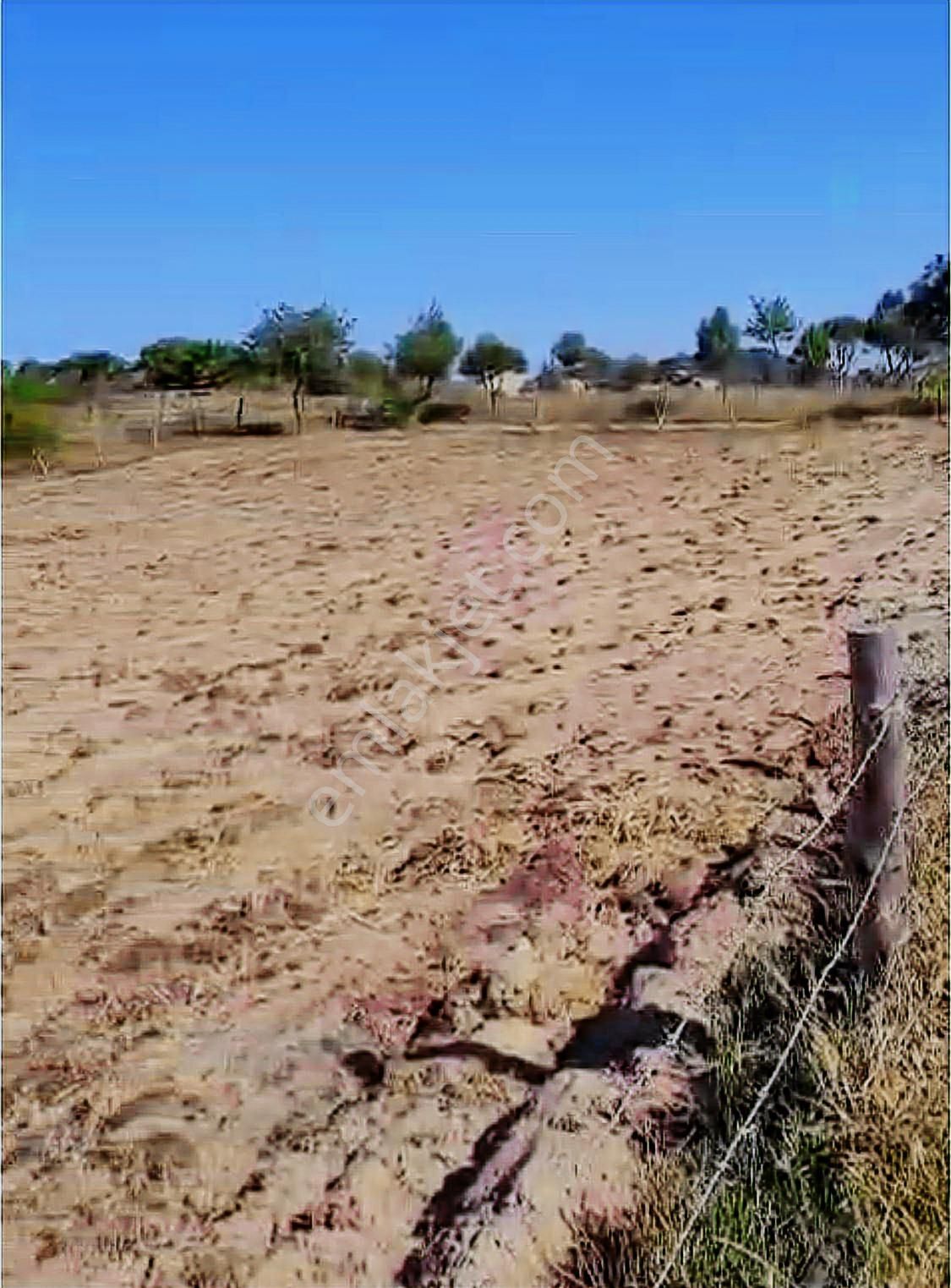 Deniz'den Muğla Milas'ta Satılık Arazi - Görsel 5
