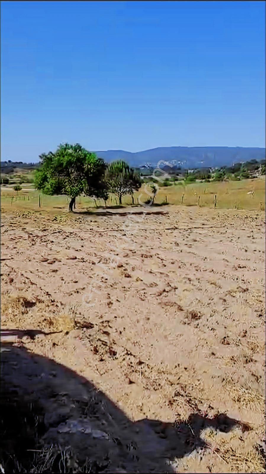 Deniz'den Muğla Milas'ta Satılık Arazi - Görsel 9