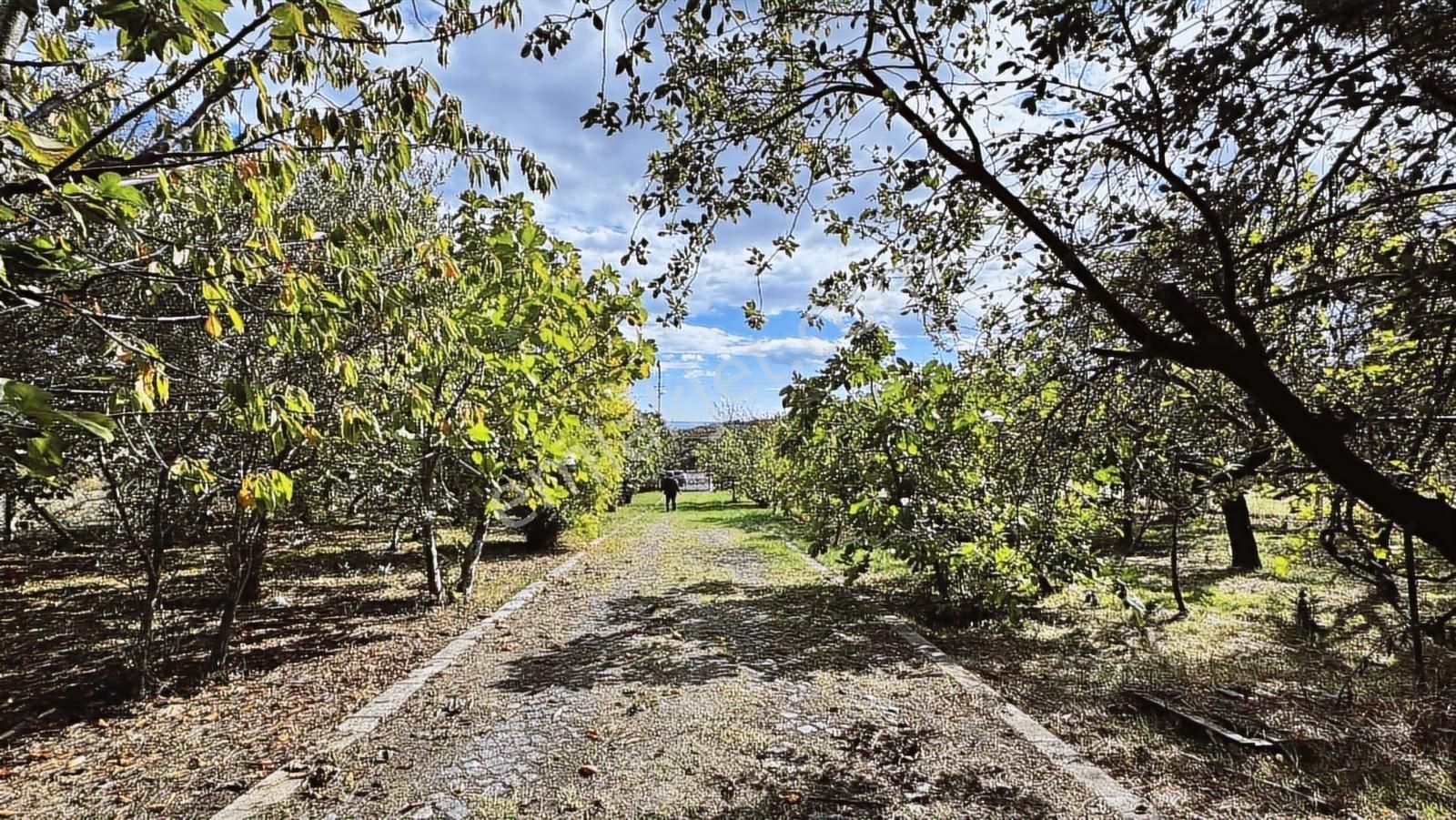 Tarla Ve Ev İmarda 3 Kat Hakkı Deniz Ve Şehir Manzarası - Görsel 8