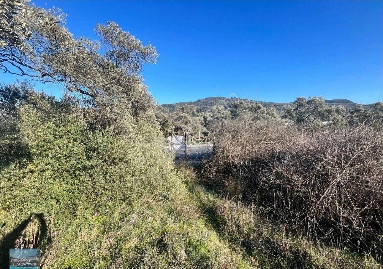 Muğla/milas/karpuzlu Yolu Üstünde 8 Dönüm Arazi Ve Çiftlik Evi - Görsel 18