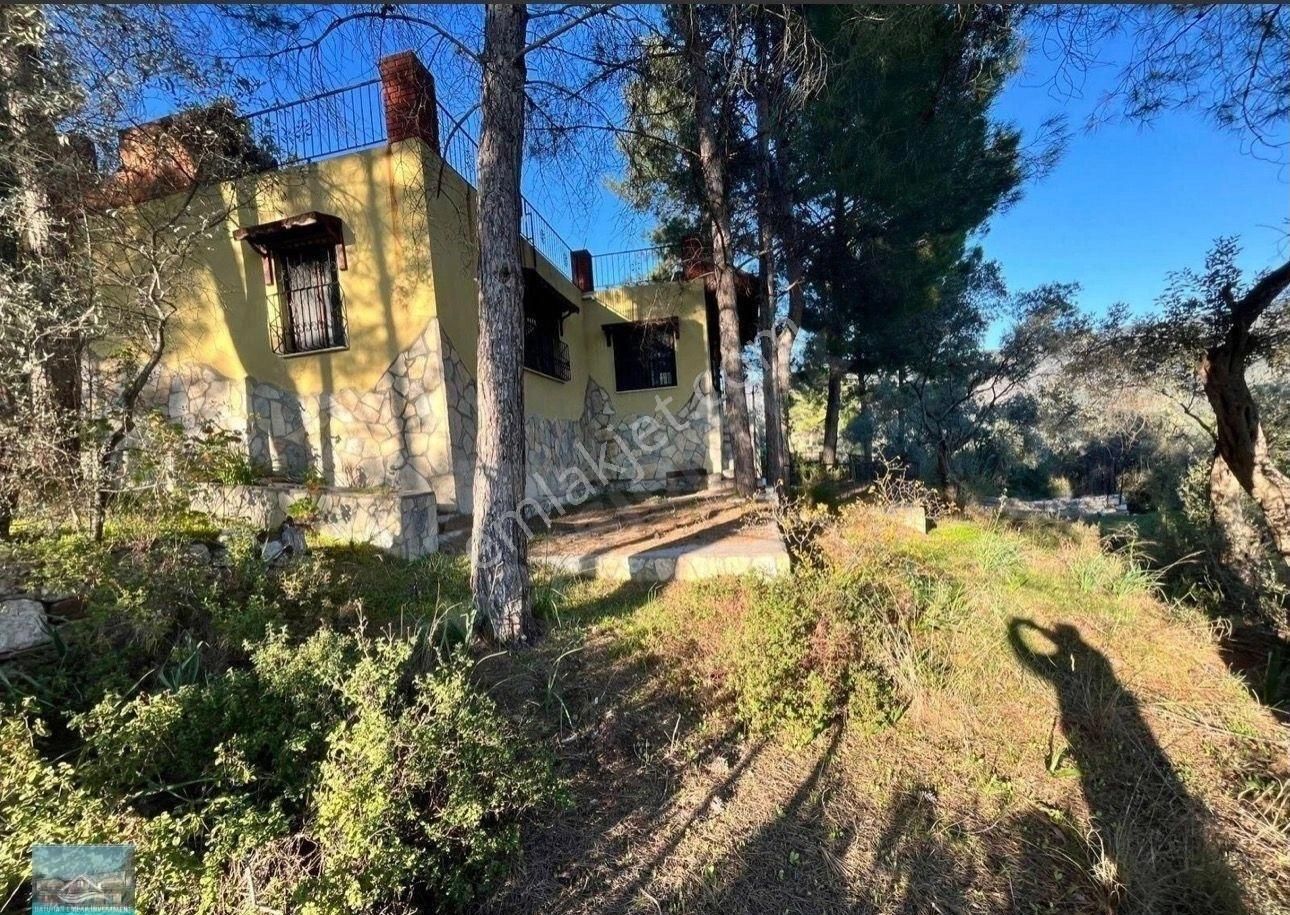 Muğla/milas/karpuzlu Yolu Üstünde 8 Dönüm Arazi Ve Çiftlik Evi - Görsel 5