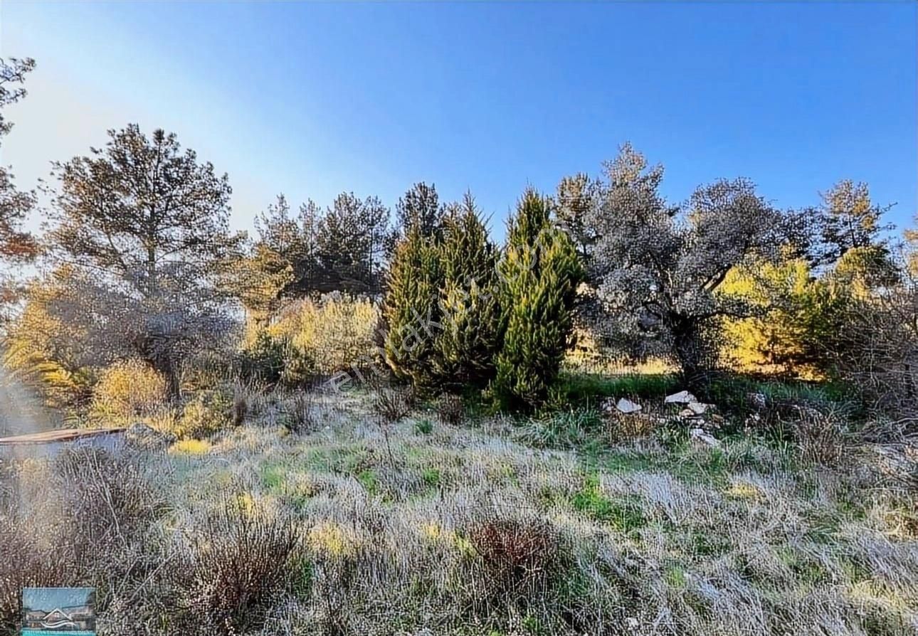 Muğla/milas/karpuzlu Yolu Üstünde 8 Dönüm Arazi Ve Çiftlik Evi - Görsel 12