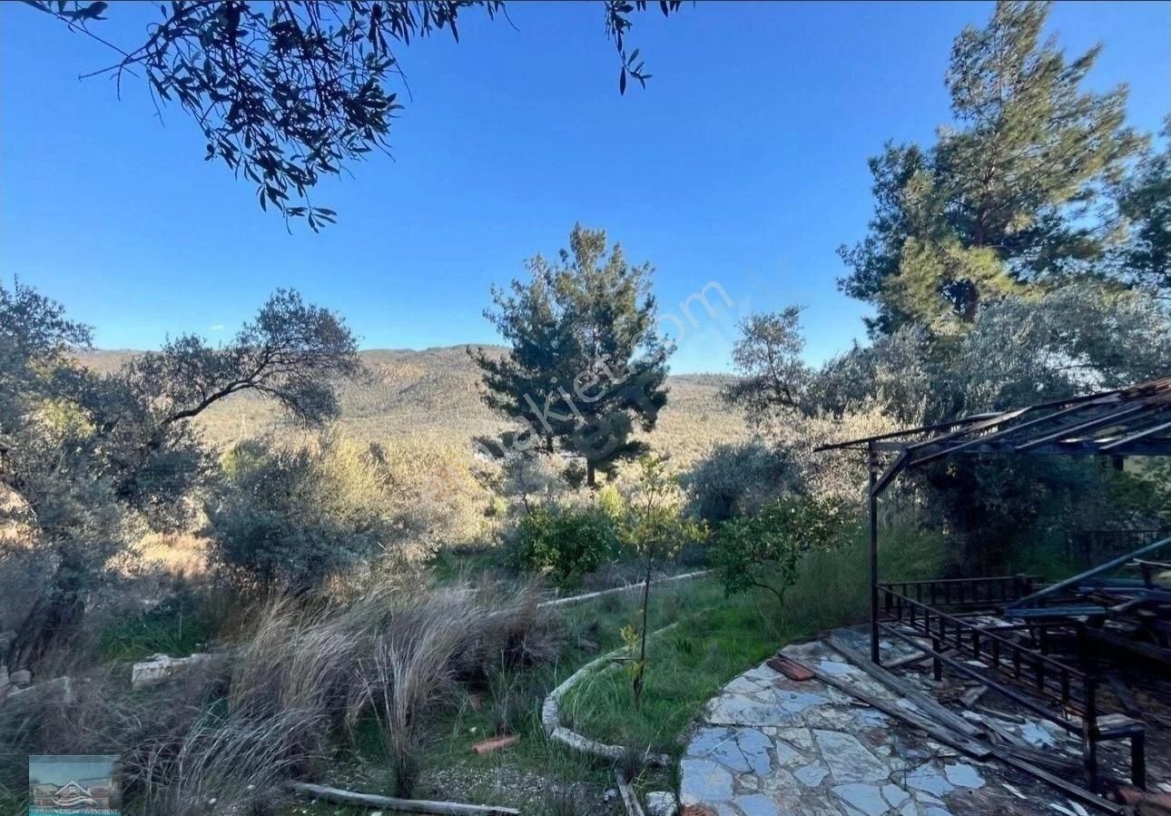 Muğla/milas/karpuzlu Yolu Üstünde 8 Dönüm Arazi Ve Çiftlik Evi - Görsel 10