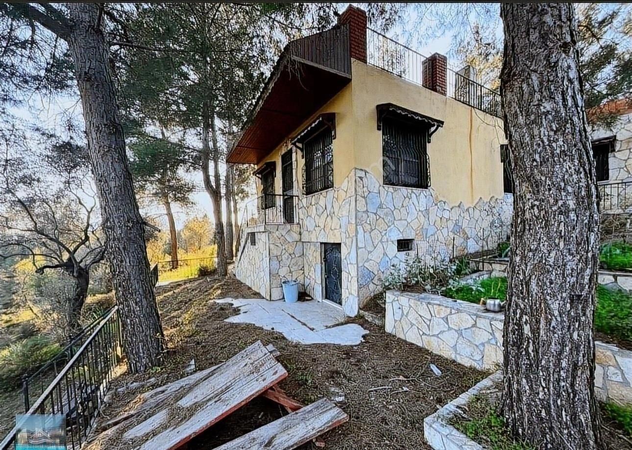 Muğla/milas/karpuzlu Yolu Üstünde 8 Dönüm Arazi Ve Çiftlik Evi - Görsel 27