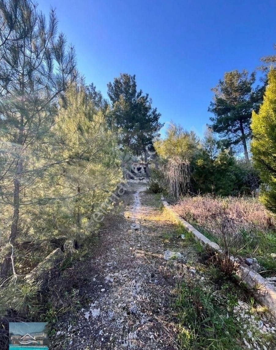 Muğla/milas/karpuzlu Yolu Üstünde 8 Dönüm Arazi Ve Çiftlik Evi - Görsel 13