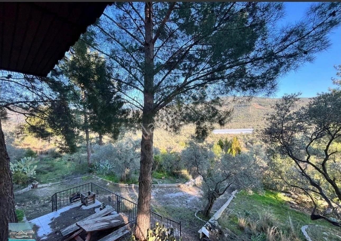 Muğla/milas/karpuzlu Yolu Üstünde 8 Dönüm Arazi Ve Çiftlik Evi - Görsel 35