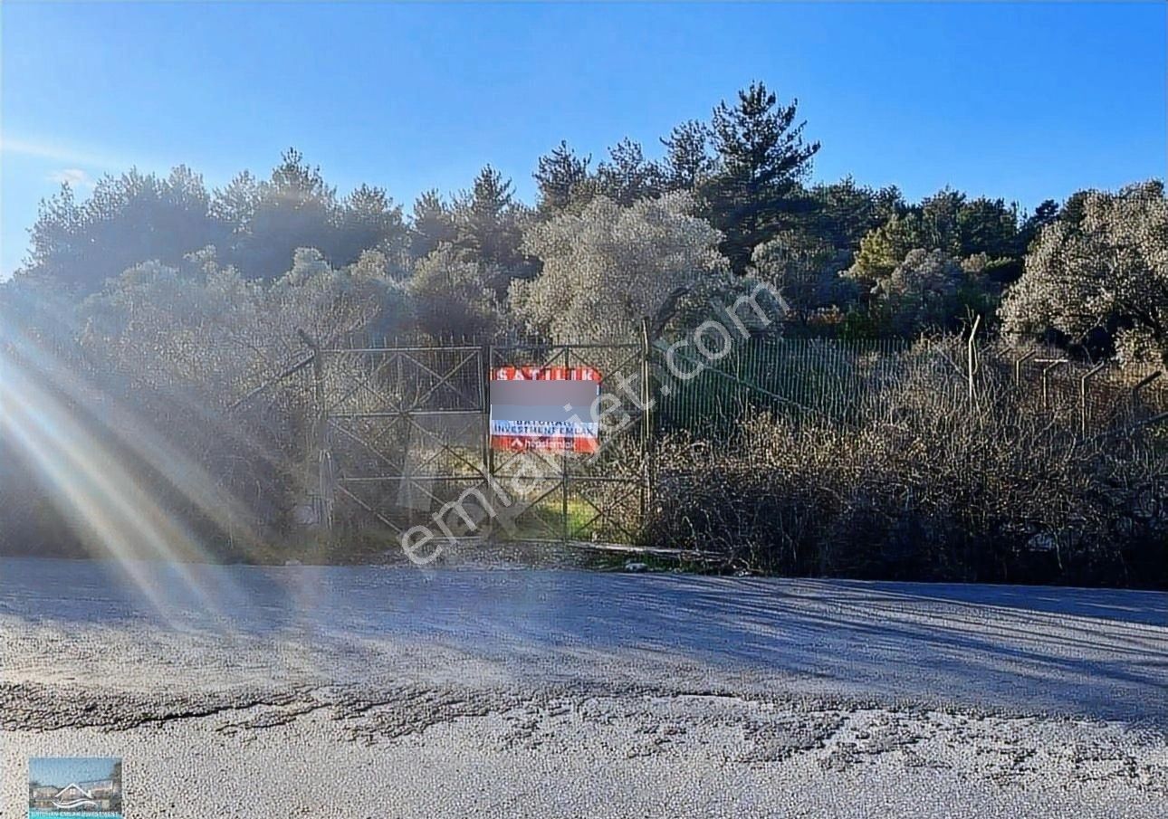 Muğla/milas/karpuzlu Yolu Üstünde 8 Dönüm Arazi Ve Çiftlik Evi - Görsel 9