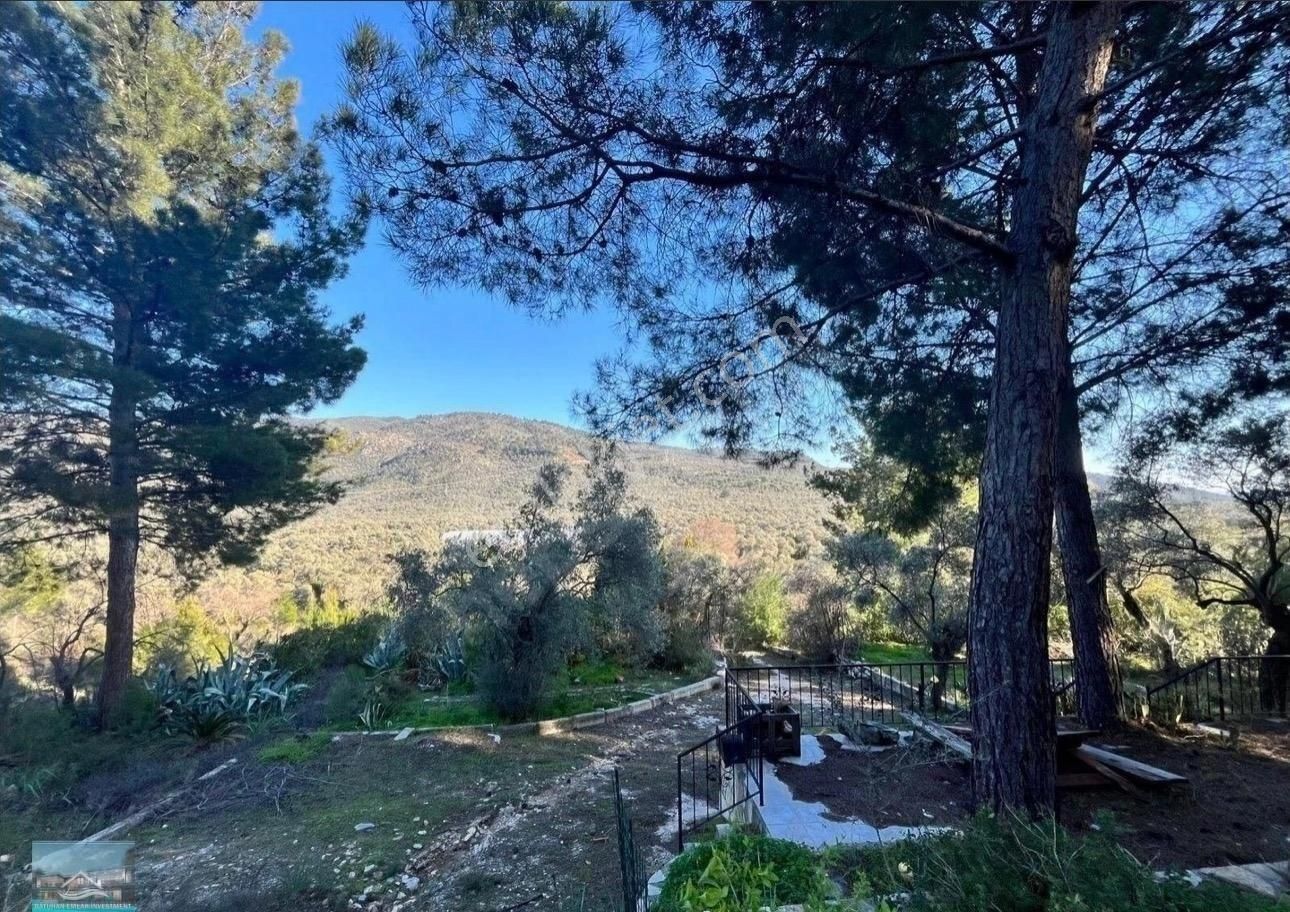 Muğla/milas/karpuzlu Yolu Üstünde 8 Dönüm Arazi Ve Çiftlik Evi - Görsel 16