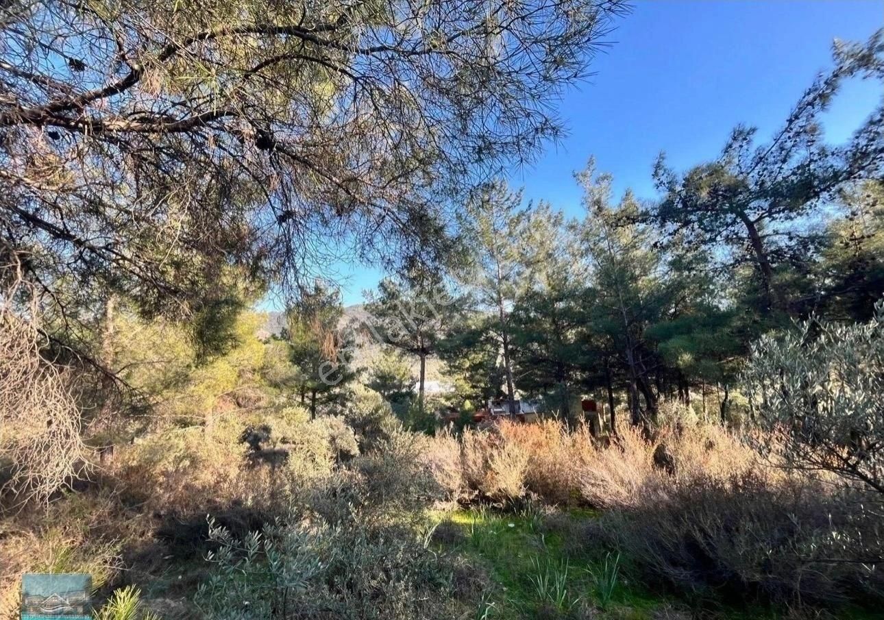 Muğla/milas/karpuzlu Yolu Üstünde 8 Dönüm Arazi Ve Çiftlik Evi - Görsel 25