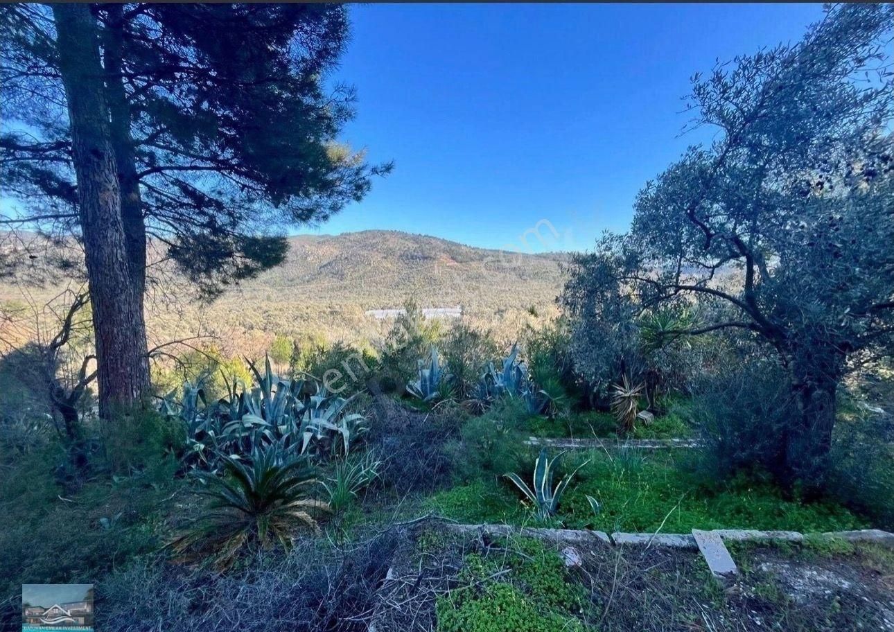 Muğla/milas/karpuzlu Yolu Üstünde 8 Dönüm Arazi Ve Çiftlik Evi - Görsel 20