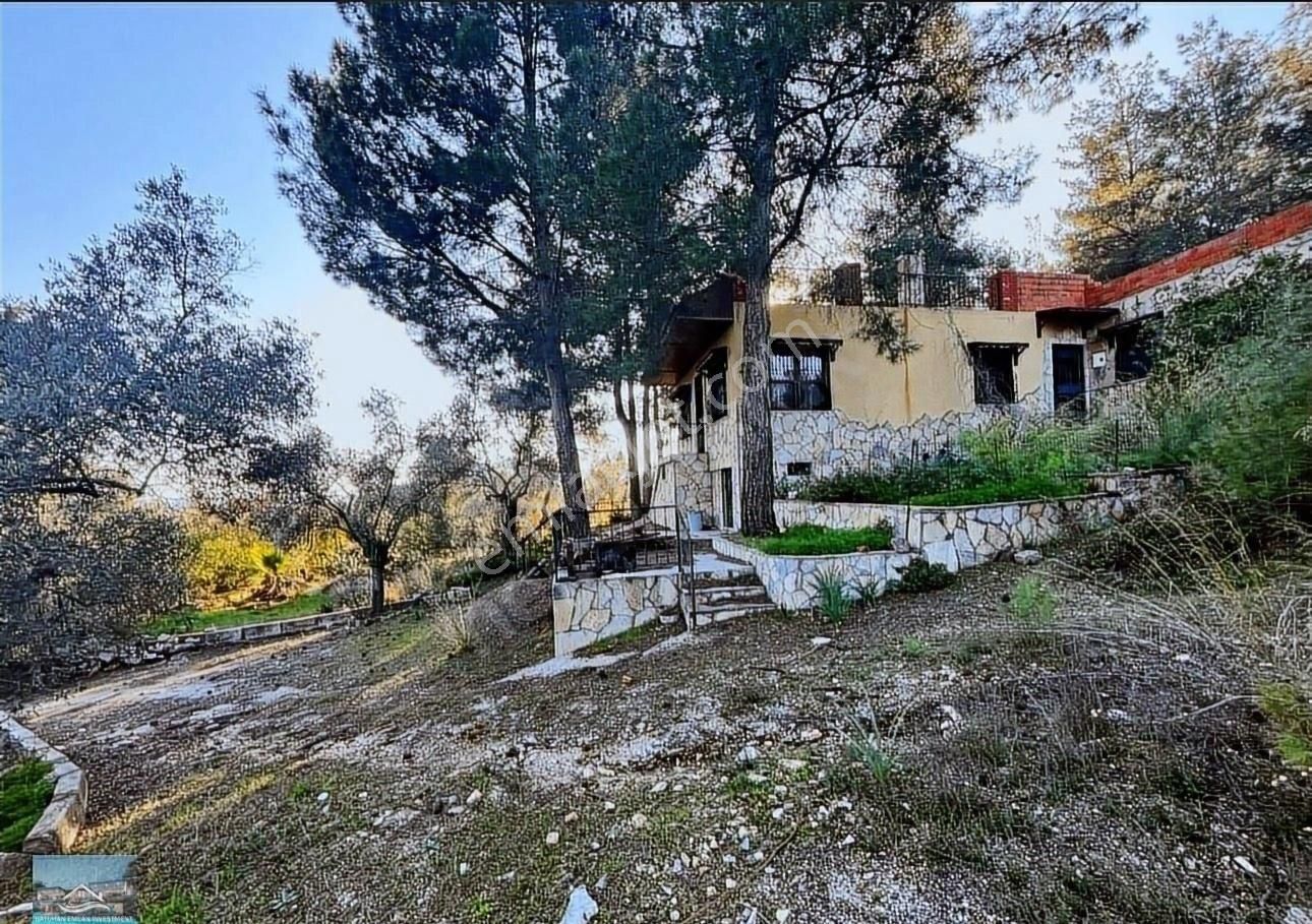 Muğla/milas/karpuzlu Yolu Üstünde 8 Dönüm Arazi Ve Çiftlik Evi - Görsel 19