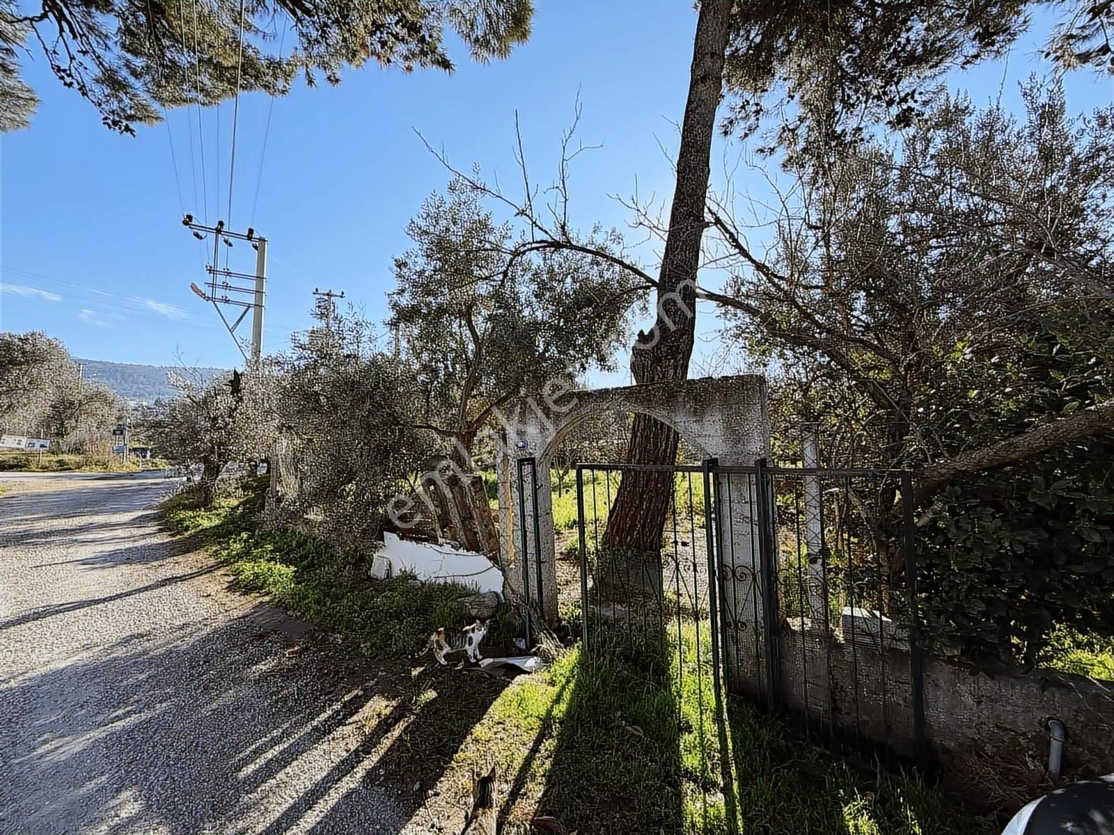 Kaynaklar 29 Ekim Mah.de 800 M² Arsa İçinde 1+1 Ev - Görsel 13