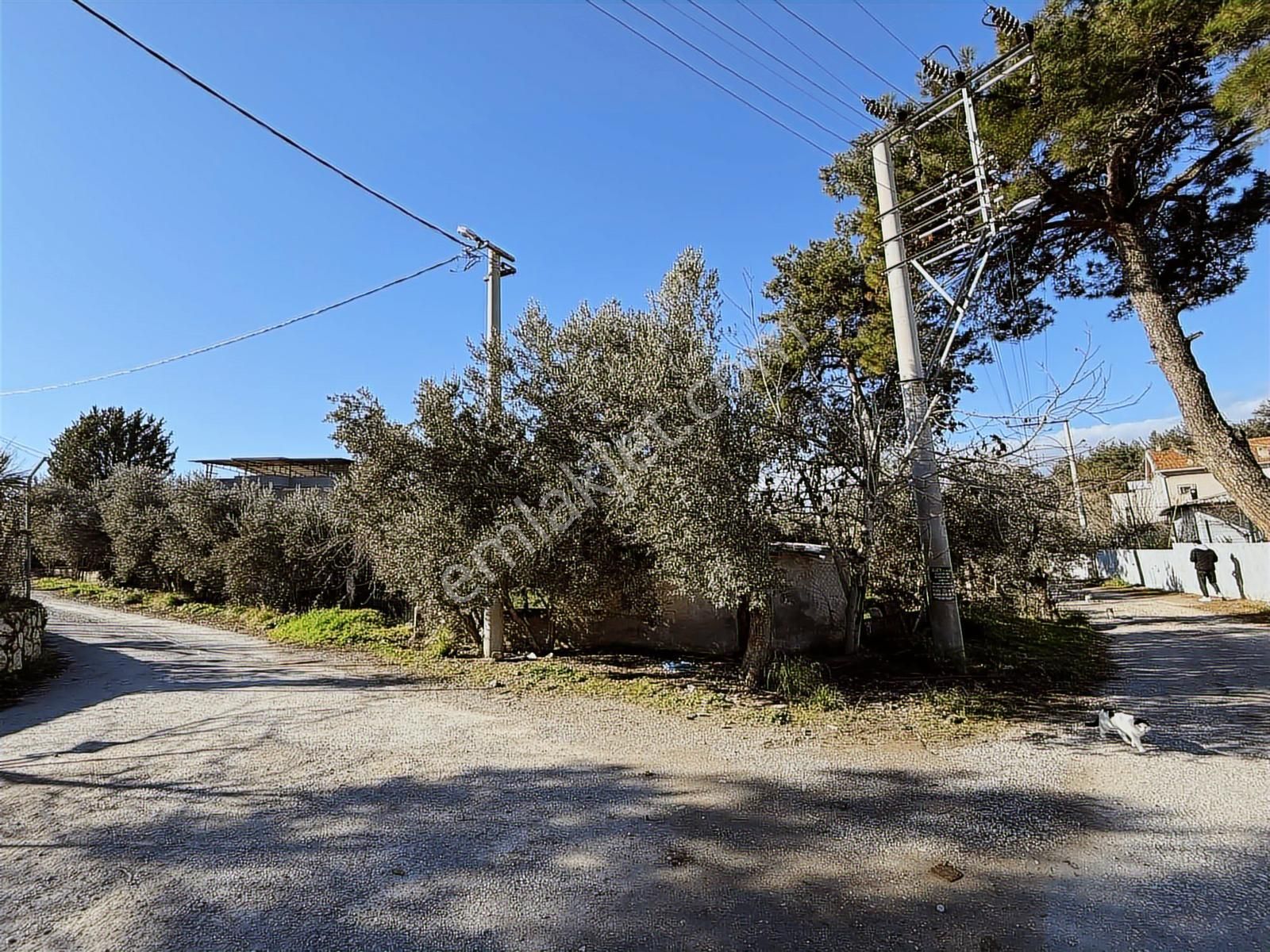 Kaynaklar 29 Ekim Mah.de 800 M² Arsa İçinde 1+1 Ev - Görsel 18