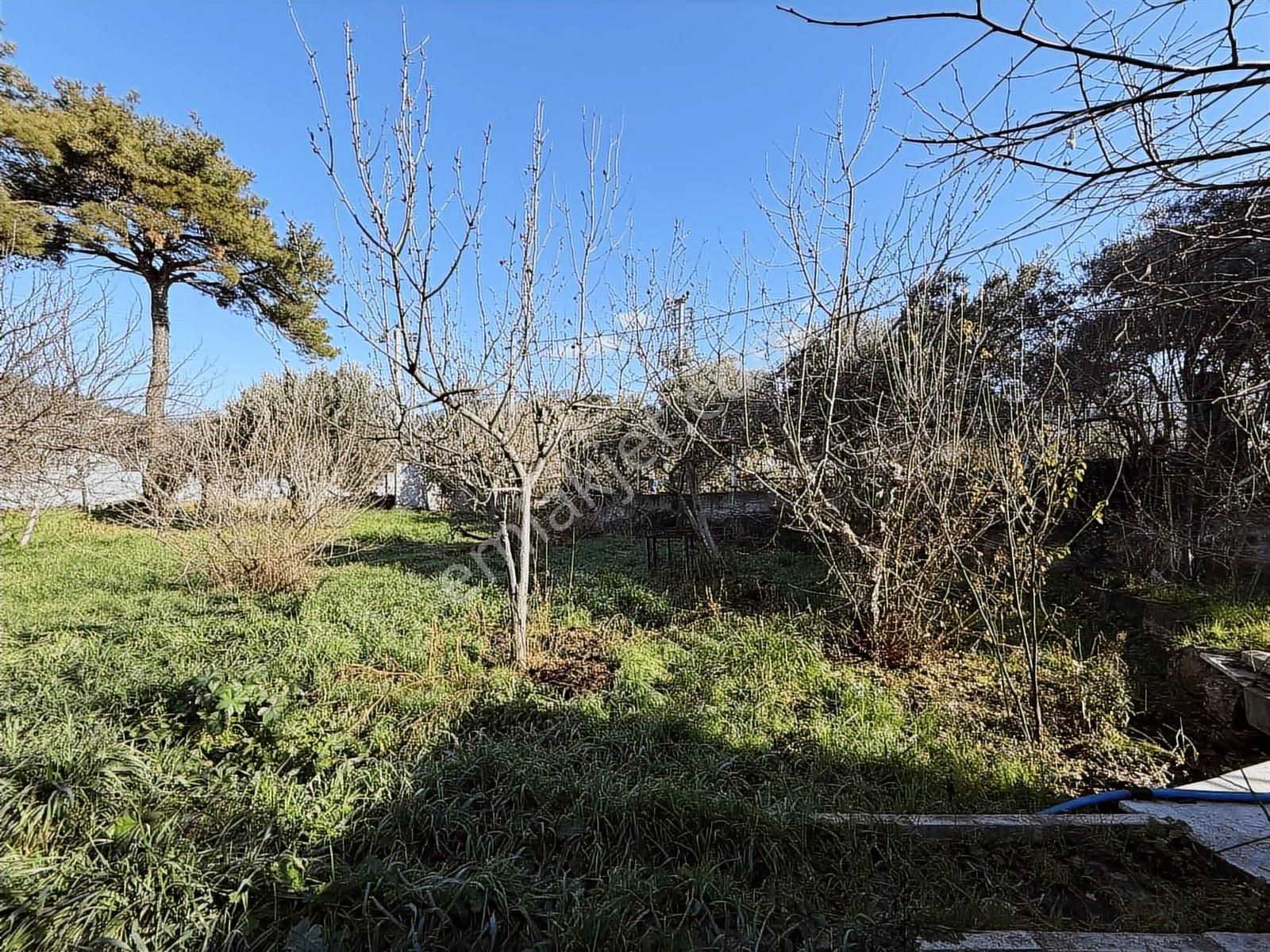 Kaynaklar 29 Ekim Mah.de 800 M² Arsa İçinde 1+1 Ev - Görsel 8