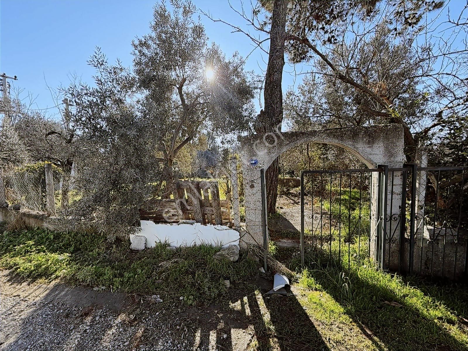 Kaynaklar 29 Ekim Mah.de 800 M² Arsa İçinde 1+1 Ev - Görsel 10