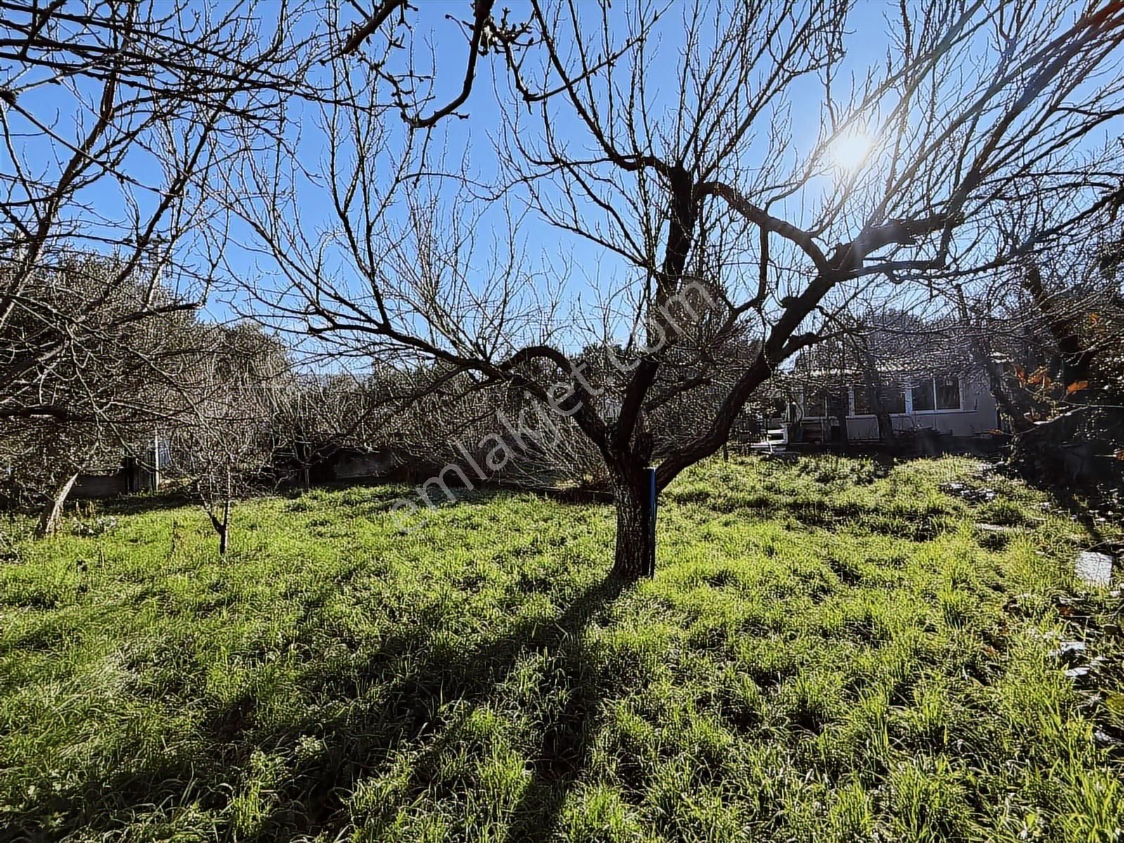 Kaynaklar 29 Ekim Mah.de 800 M² Arsa İçinde 1+1 Ev - Görsel 14