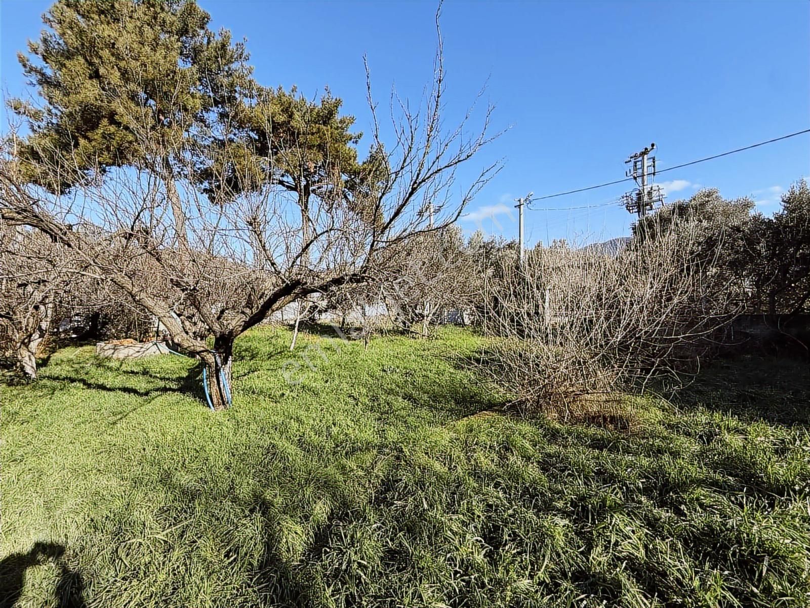 Kaynaklar 29 Ekim Mah.de 800 M² Arsa İçinde 1+1 Ev - Görsel 13