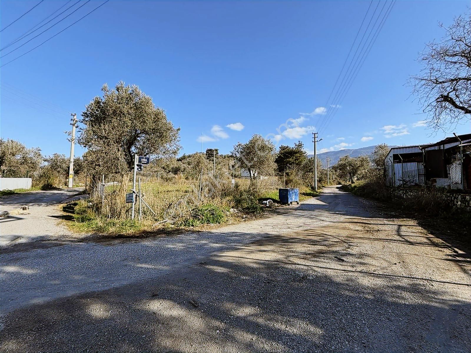 Kaynaklar 29 Ekim Mah.de 800 M² Arsa İçinde 1+1 Ev - Görsel 6