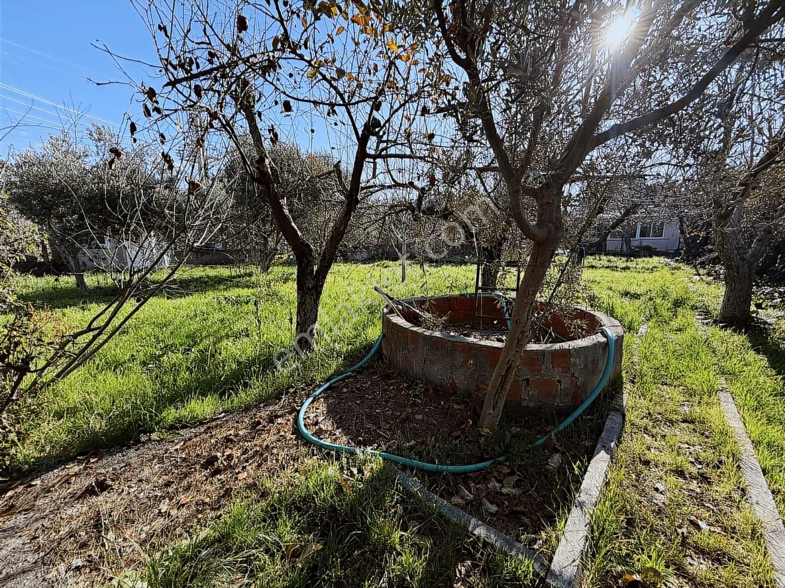 Kaynaklar 29 Ekim Mah.de 800 M² Arsa İçinde 1+1 Ev - Görsel 4