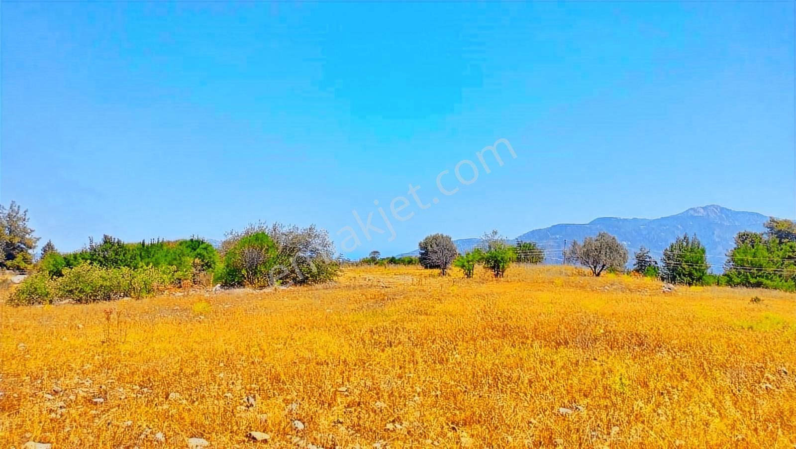 Antalya Kumluca Belen Satılık 13.000 M2 Deniz Gören Arazi.... - Görsel 13