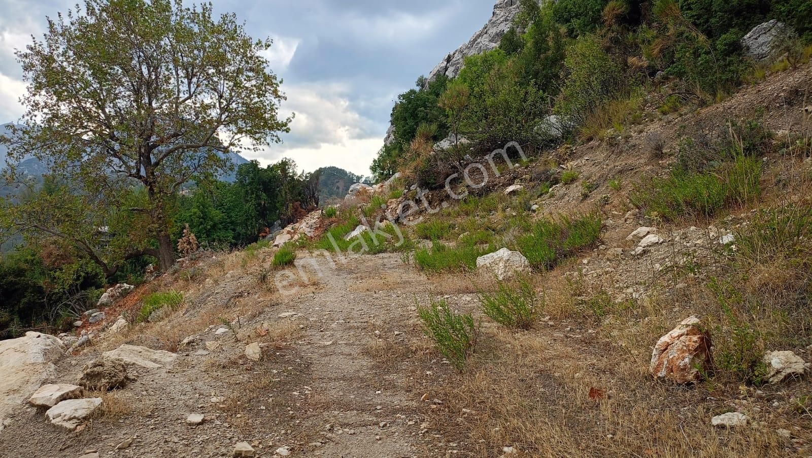 Antalya Kemer Ovacık Yaylası Satilik 6.000 M2 Arazi Ve Köy Evi. - Görsel 25