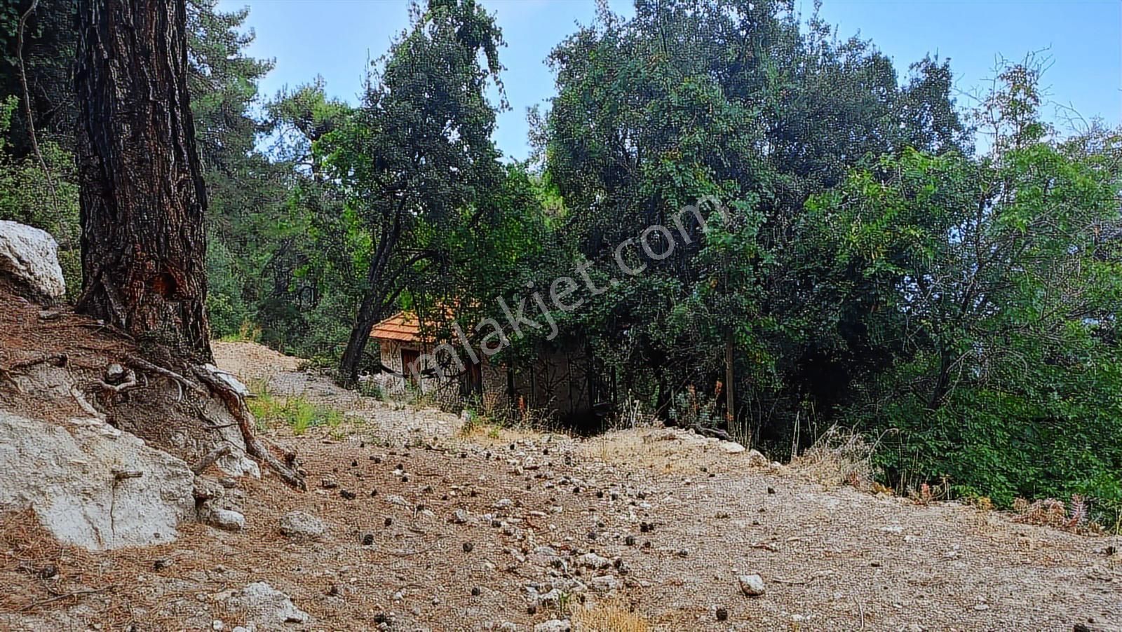 Antalya Kemer Ovacık Yaylası Satilik 6.000 M2 Arazi Ve Köy Evi. - Görsel 15