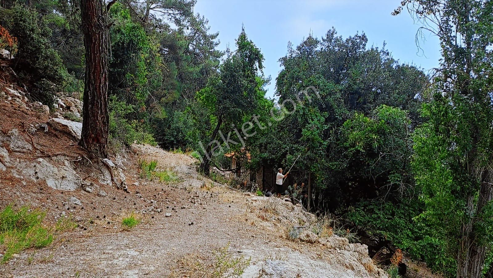 Antalya Kemer Ovacık Yaylası Satilik 6.000 M2 Arazi Ve Köy Evi. - Görsel 22