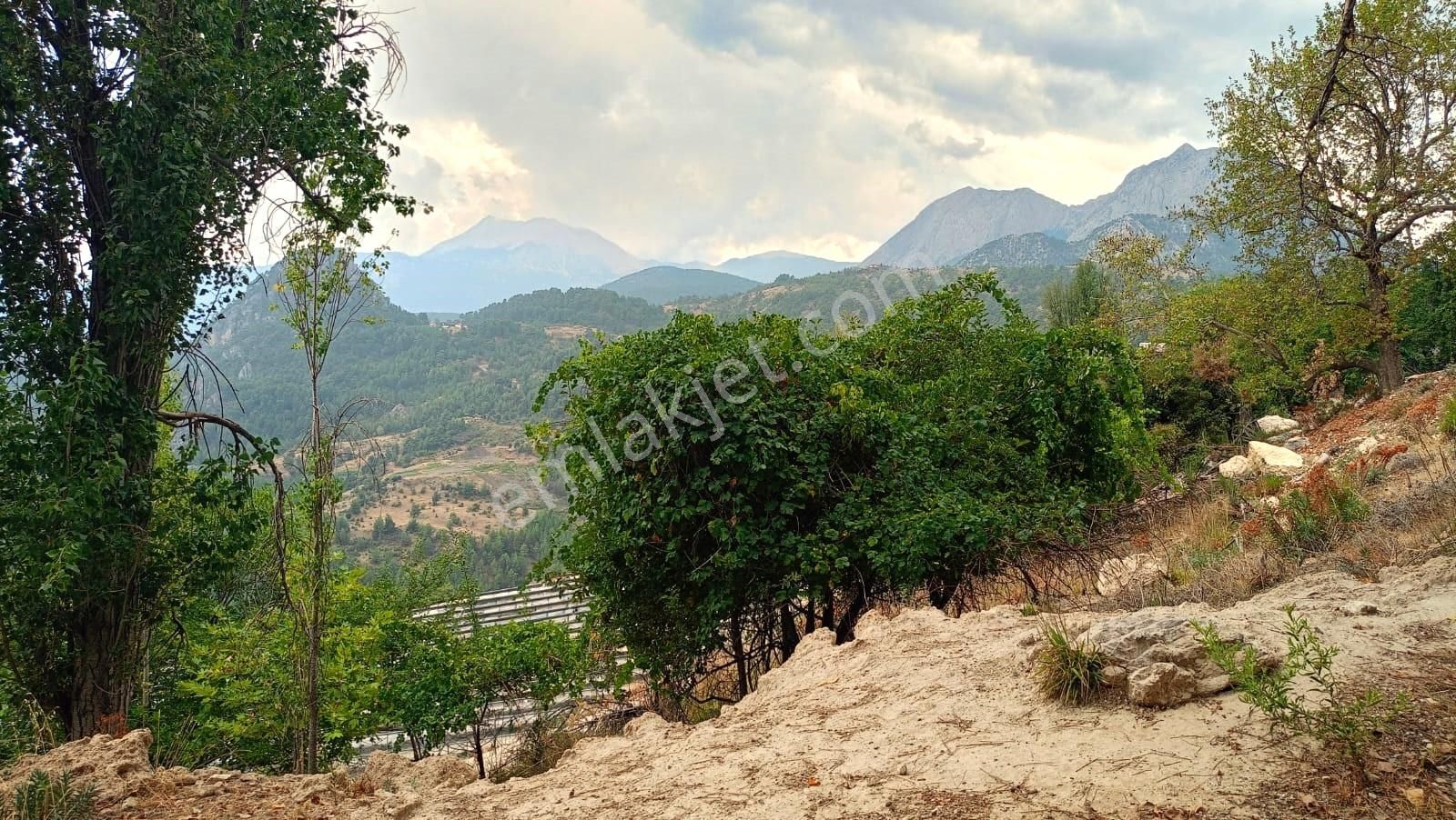 Antalya Kemer Ovacık Yaylası Satilik 6.000 M2 Arazi Ve Köy Evi. - Görsel 35
