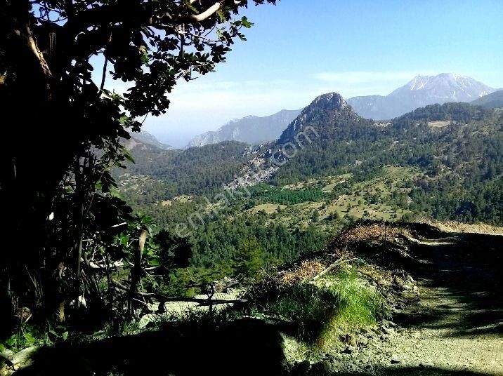 Antalya Kemer Ovacık Yaylası Satilik 6.000 M2 Arazi Ve Köy Evi. - Görsel 11