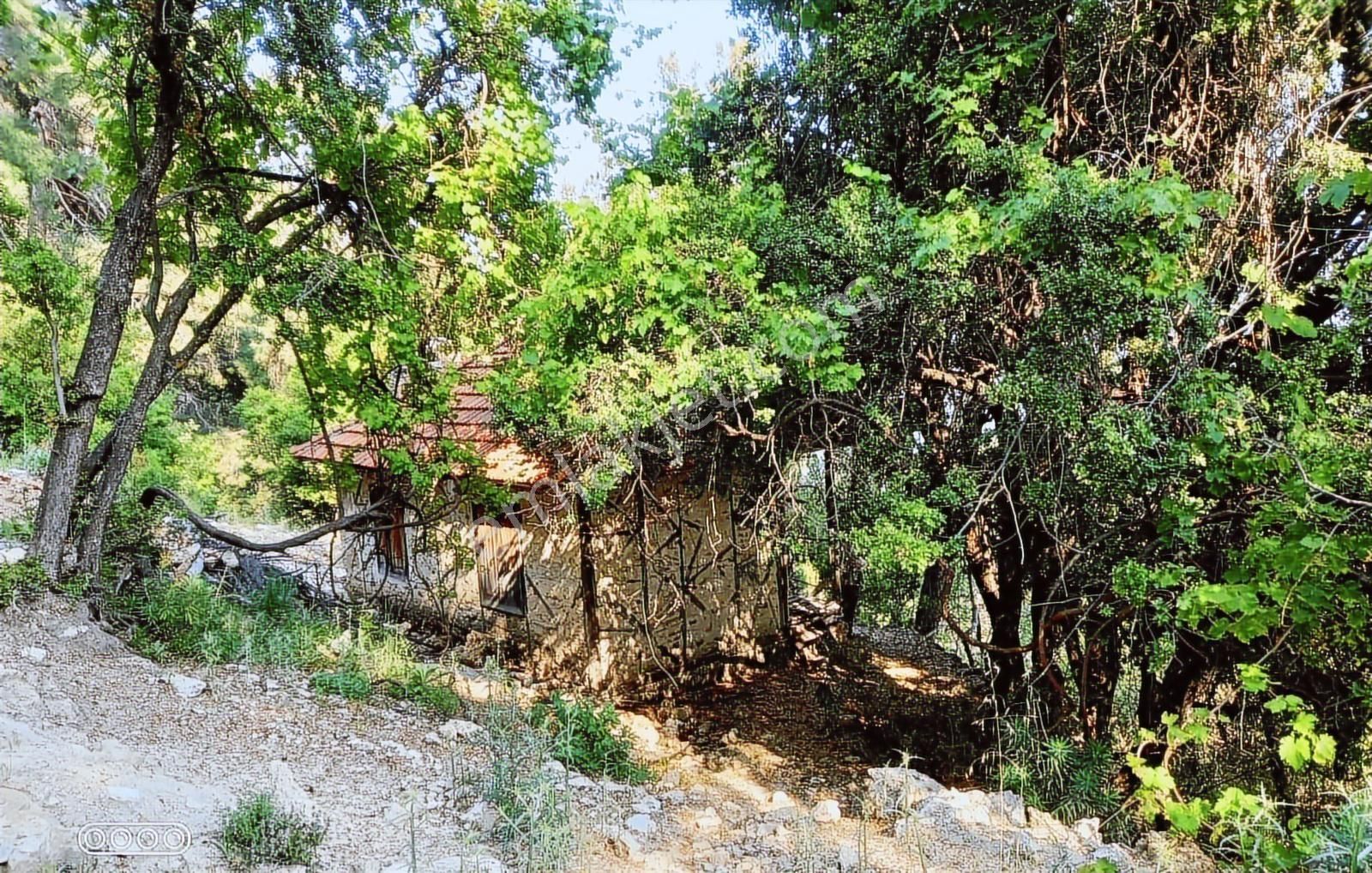 Antalya Kemer Ovacık Yaylası Satilik 6.000 M2 Arazi Ve Köy Evi. - Görsel 20