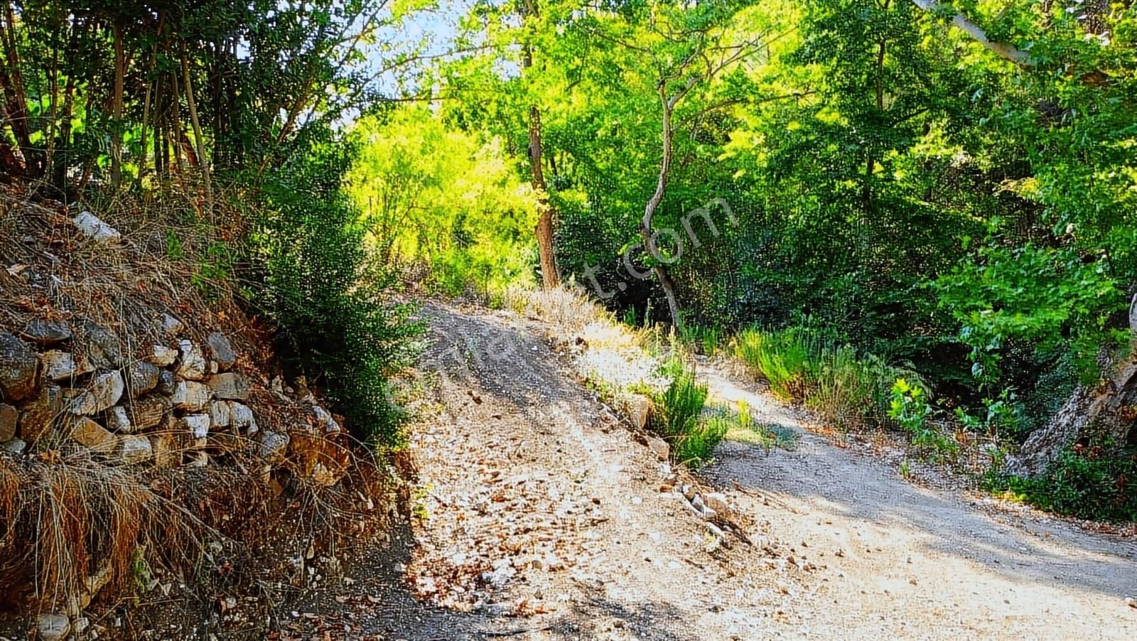 Antalya Kumluca Belen Satılık Müstakil 630 M2 Arazi Ve Ev .... - Görsel 7
