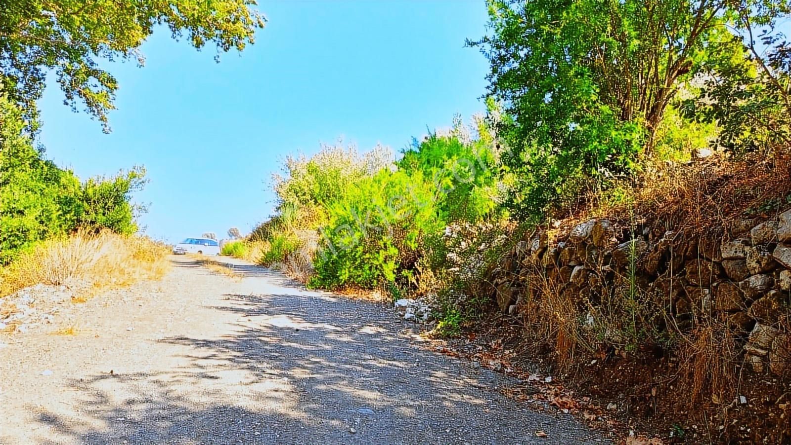 Antalya Kumluca Belen Satılık Müstakil 630 M2 Arazi Ve Ev .... - Görsel 33