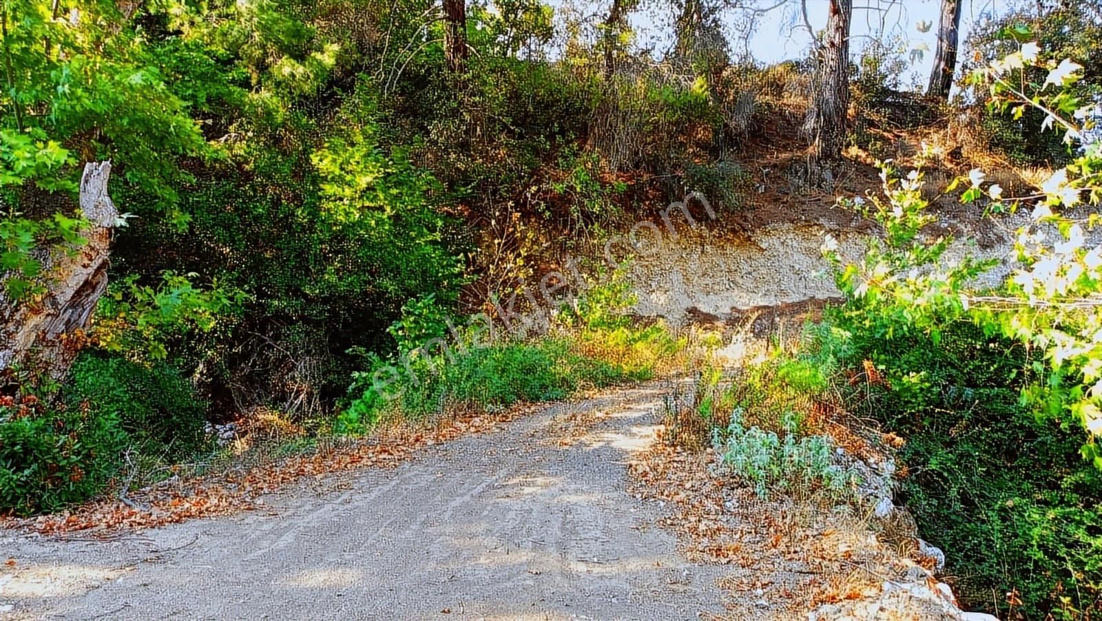 Antalya Kumluca Belen Satılık Müstakil 630 M2 Arazi Ve Ev .... - Görsel 21