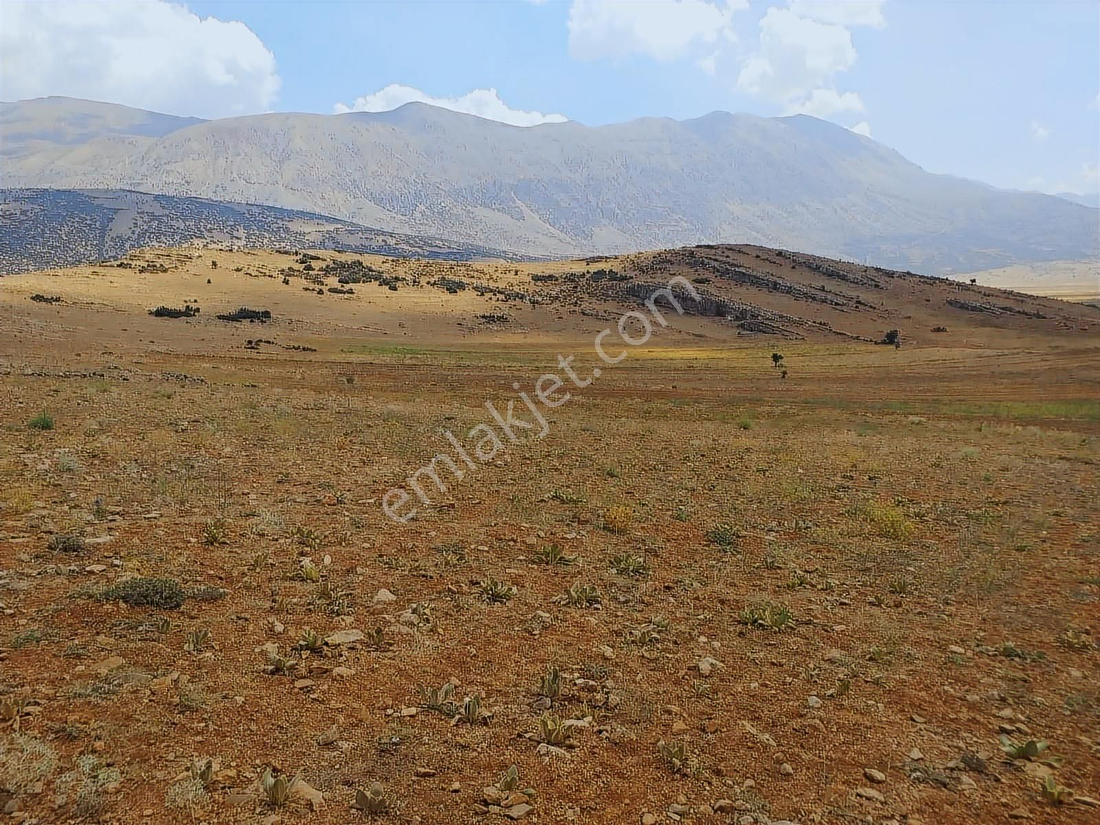 Antalya Korkuteli Avdan Da Satılık 1.629 M2 Arazi... - Görsel 13