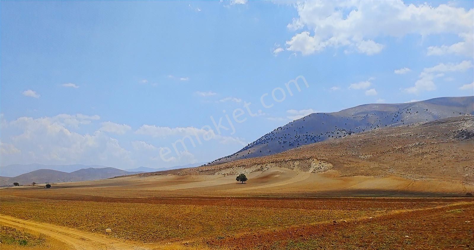 Antalya Korkuteli Avdan Da Satılık 1.629 M2 Arazi... - Görsel 15