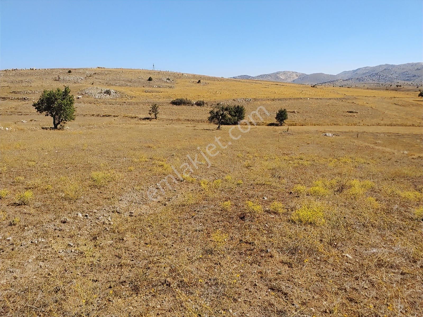 Antalya Korkuteli Avdan Da Satılık 1.629 M2 Arazi... - Görsel 24