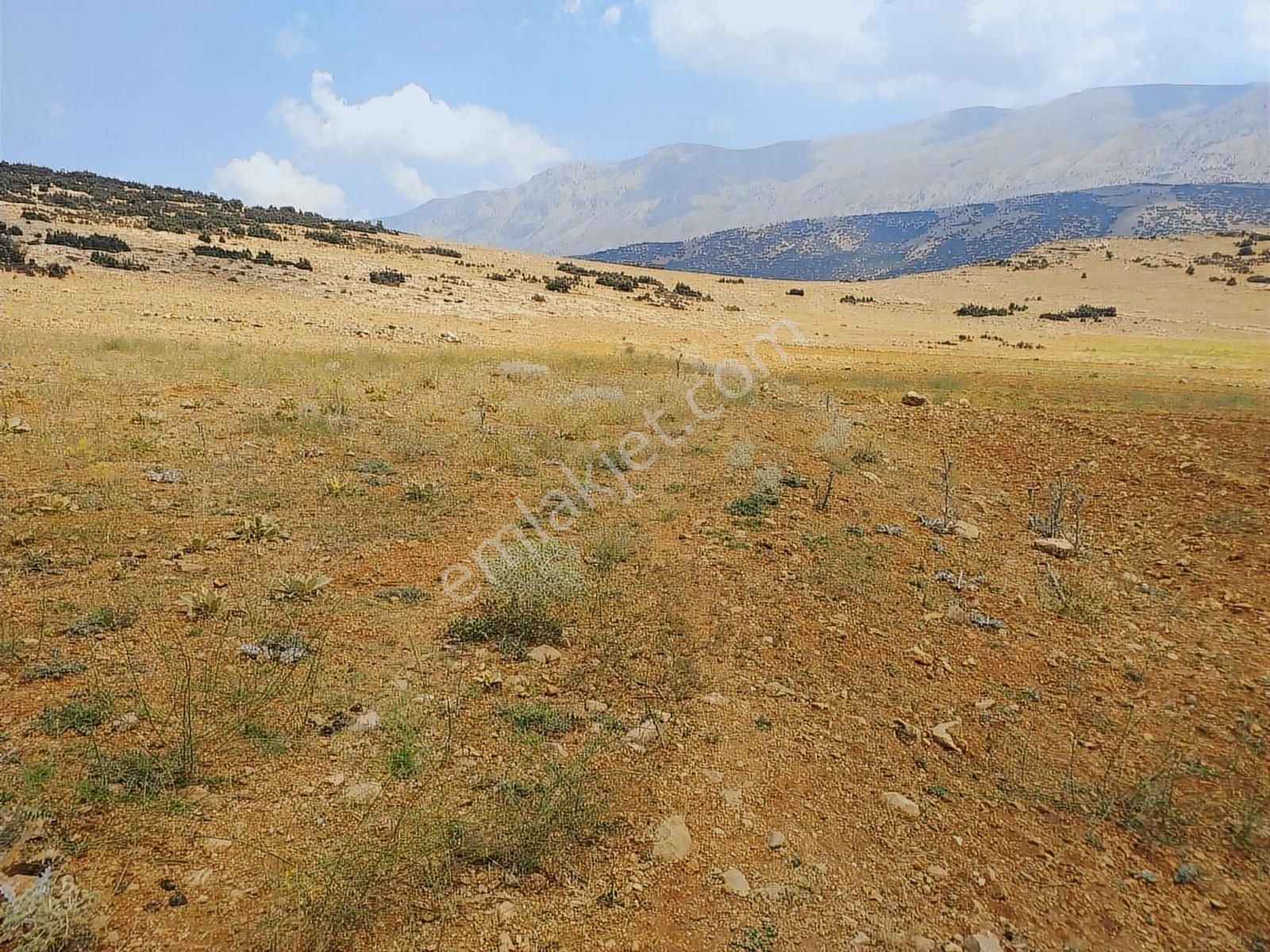 Antalya Korkuteli Avdan Da Satılık 1.629 M2 Arazi... - Görsel 19