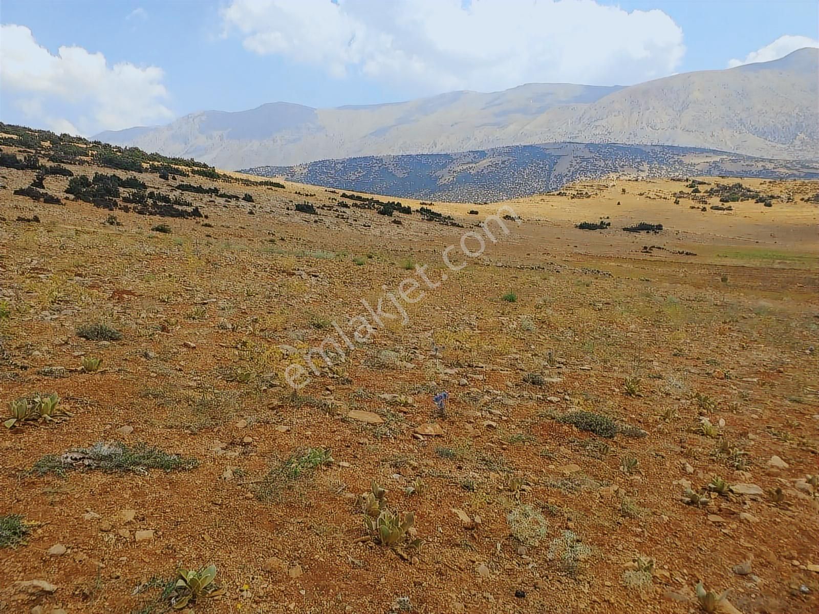 Antalya Korkuteli Avdan Da Satılık 1.629 M2 Arazi... - Görsel 30