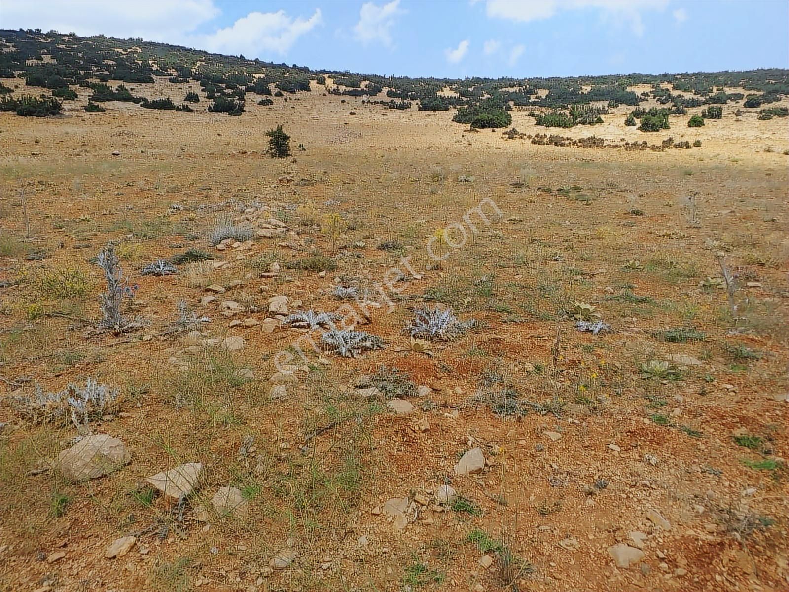 Antalya Korkuteli Avdan Da Satılık 1.629 M2 Arazi... - Görsel 28