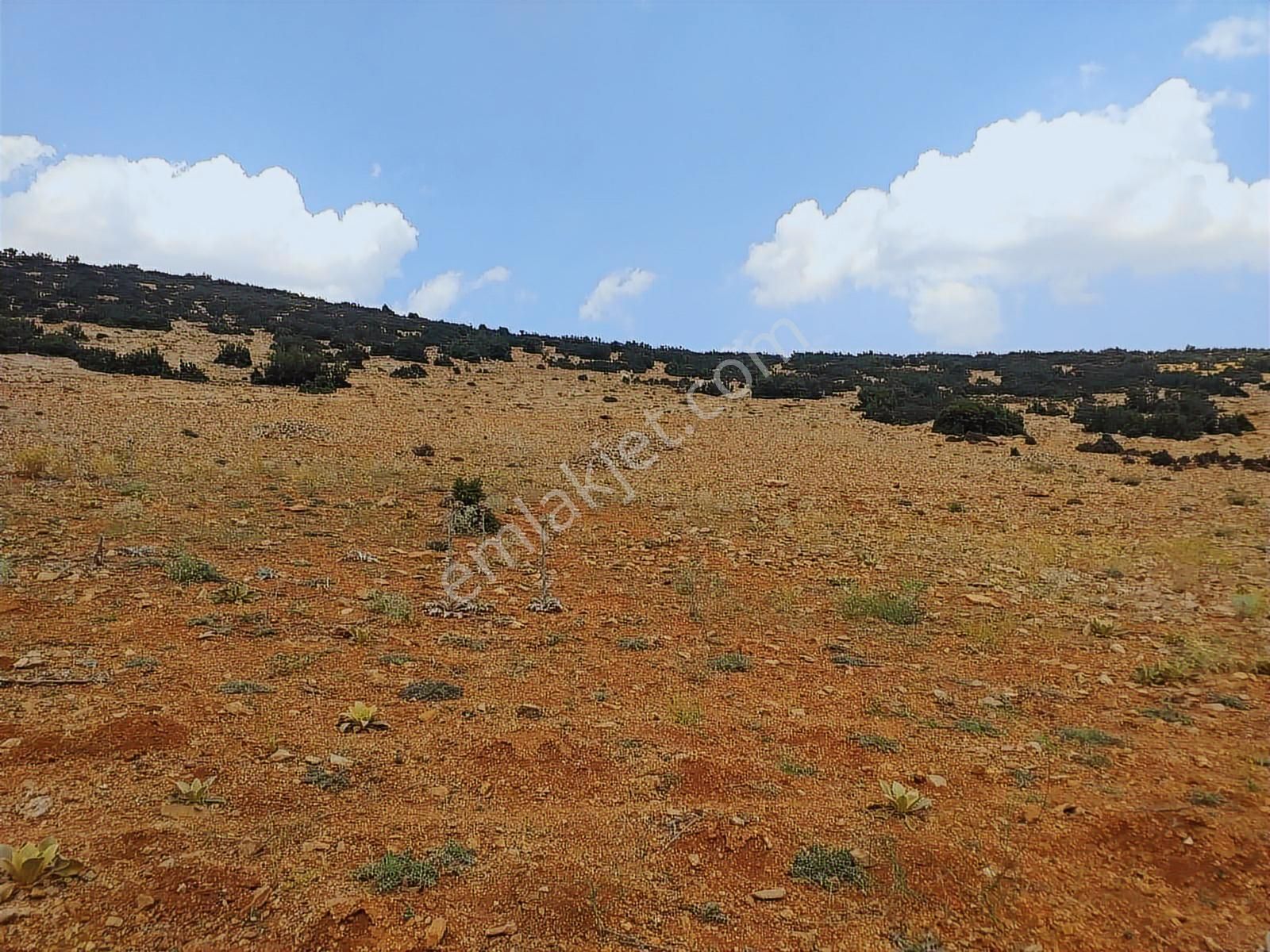 Antalya Korkuteli Avdan Da Satılık 1.629 M2 Arazi... - Görsel 12