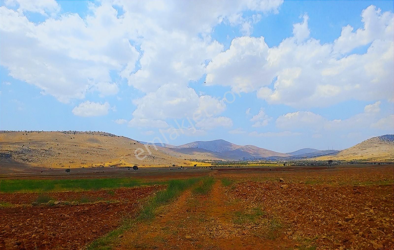 Antalya Korkuteli Avdan Da Satılık 1.629 M2 Arazi... - Görsel 31