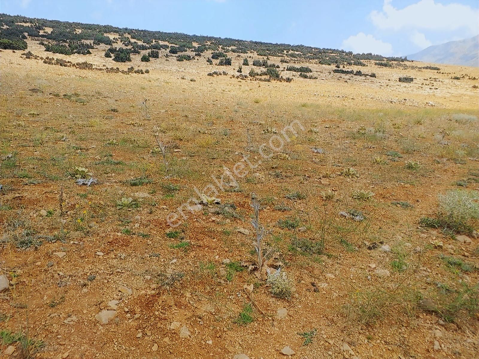 Antalya Korkuteli Avdan Da Satılık 1.629 M2 Arazi... - Görsel 25