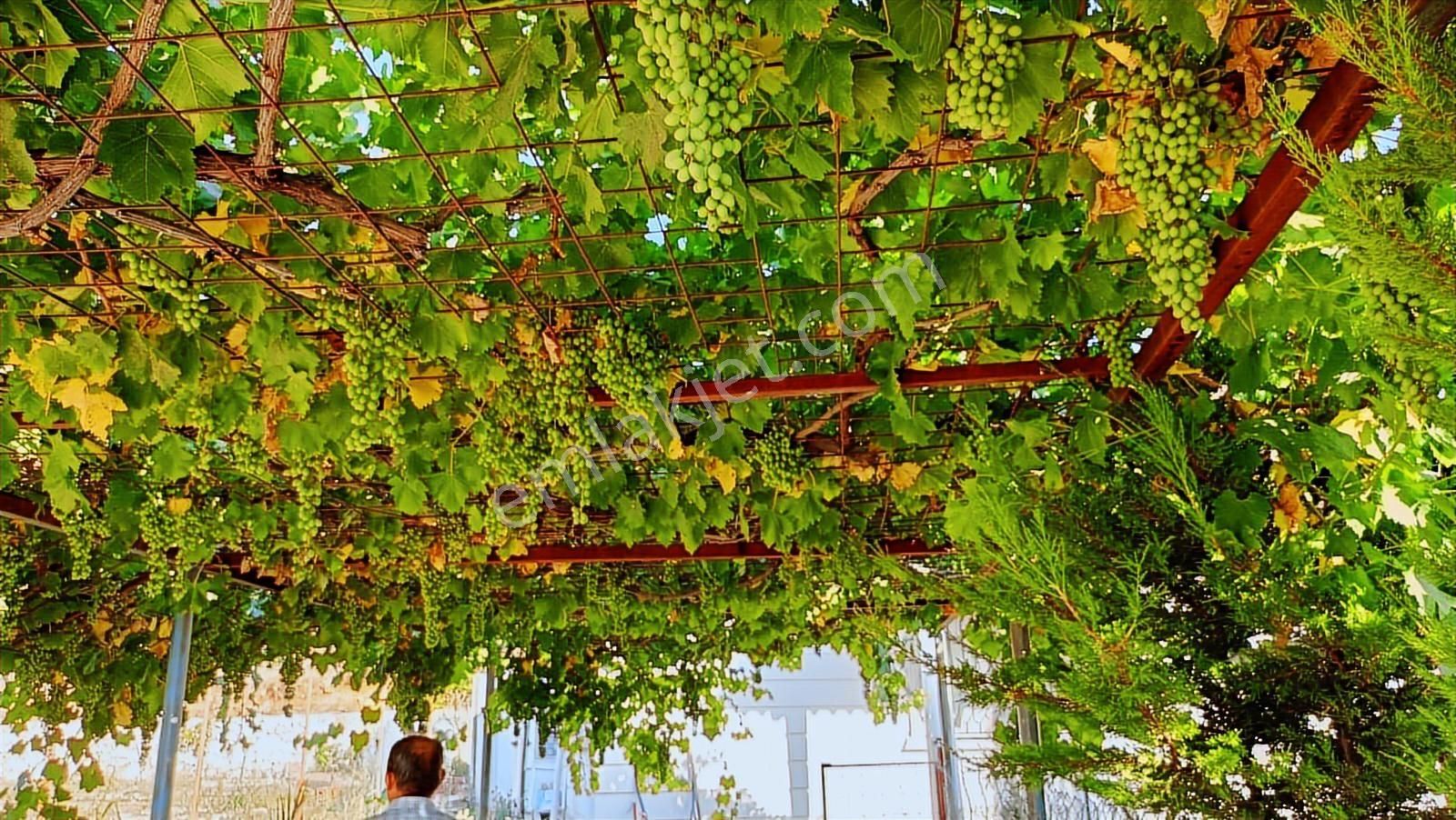 Antalya Kumluca Erentepe Satılık Bahçeli Deniz Gören 2 Adet Ev.. - Görsel 3