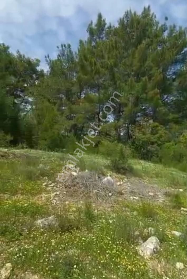 Antalya Kumluca Yazır Satılık 10.600 M2 Müstakil Tapulu Arazi.. - Görsel 13