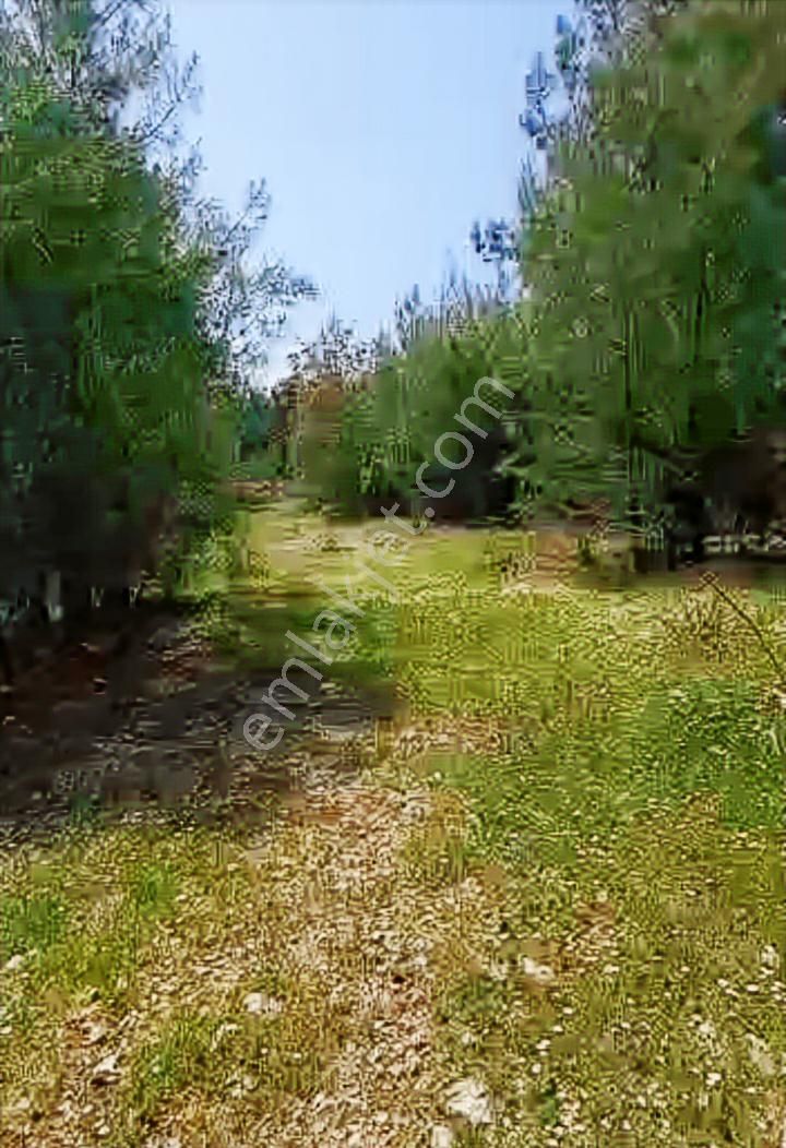 Antalya Kumluca Yazır Satılık 10.600 M2 Müstakil Tapulu Arazi.. - Görsel 20