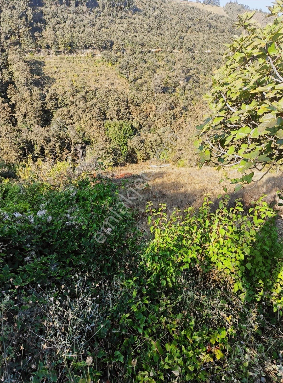 Karamürsel Çamdibi'nde Ev Yapımına Uygun Asfalta Sıfır Arazi - Görsel 8