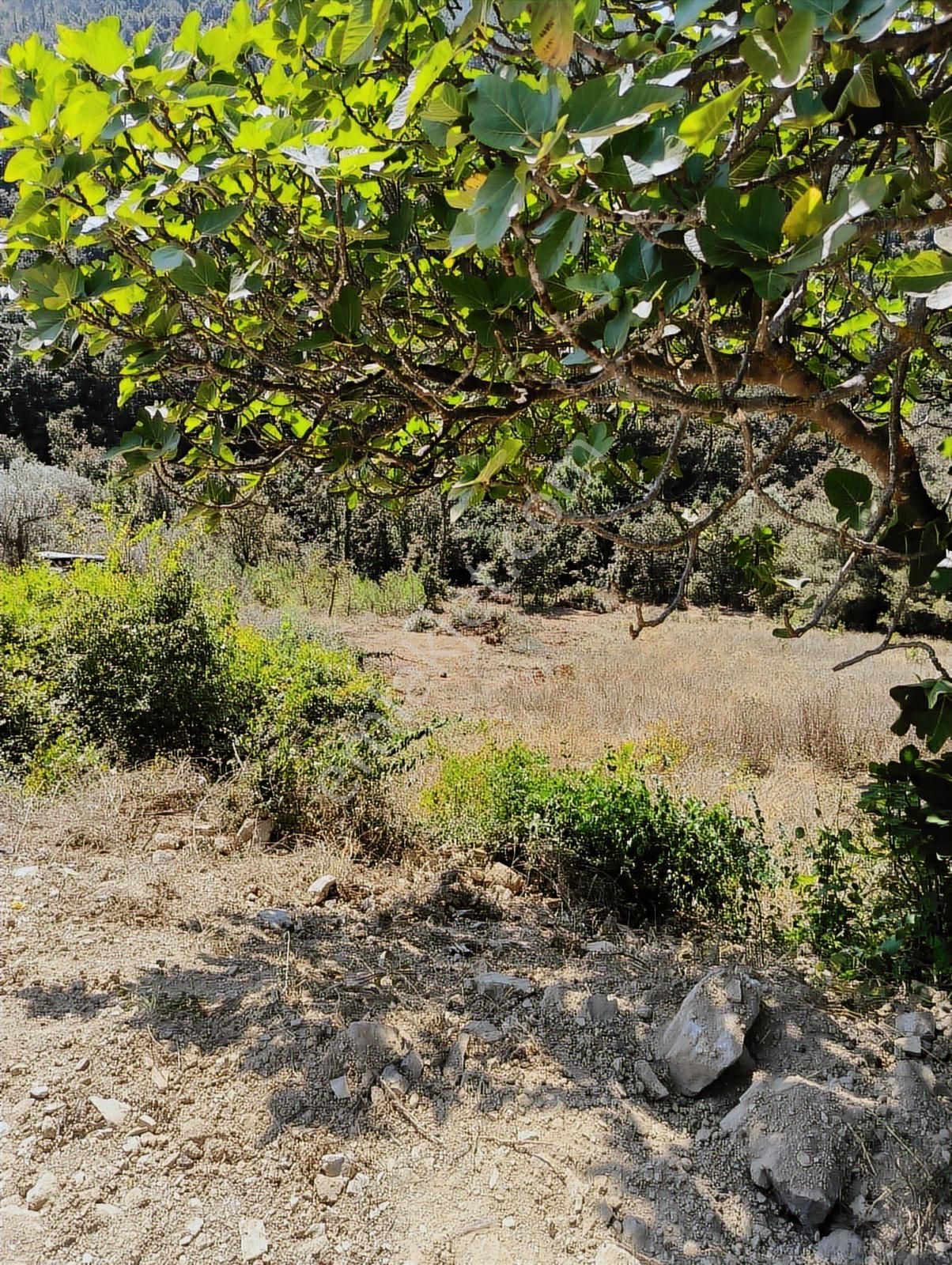 Karamürsel Çamdibi'nde Ev Yapımına Uygun Asfalta Sıfır Arazi - Görsel 7