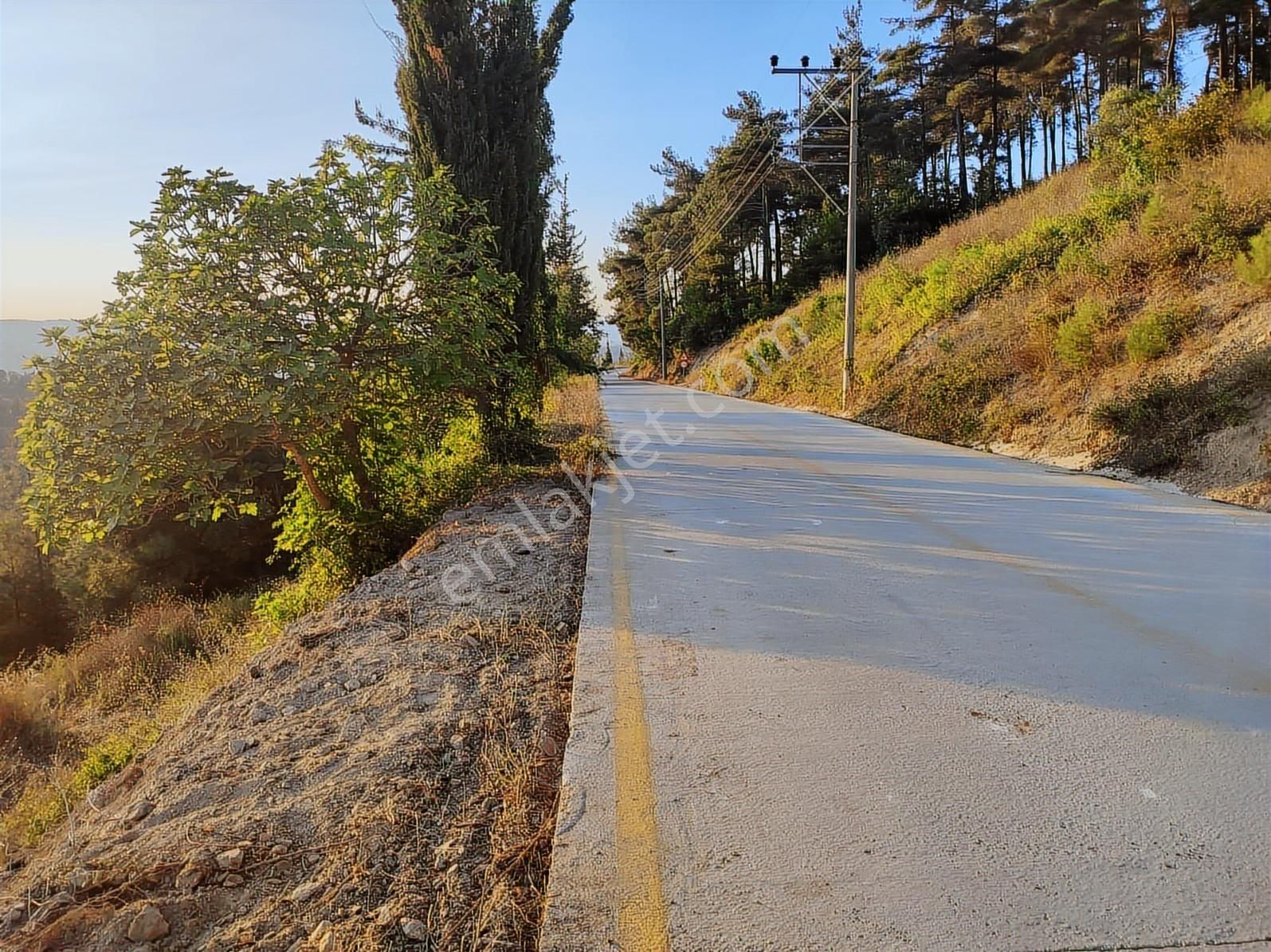 Karamürsel Çamdibi'nde Ev Yapımına Uygun Asfalta Sıfır Arazi - Görsel 4