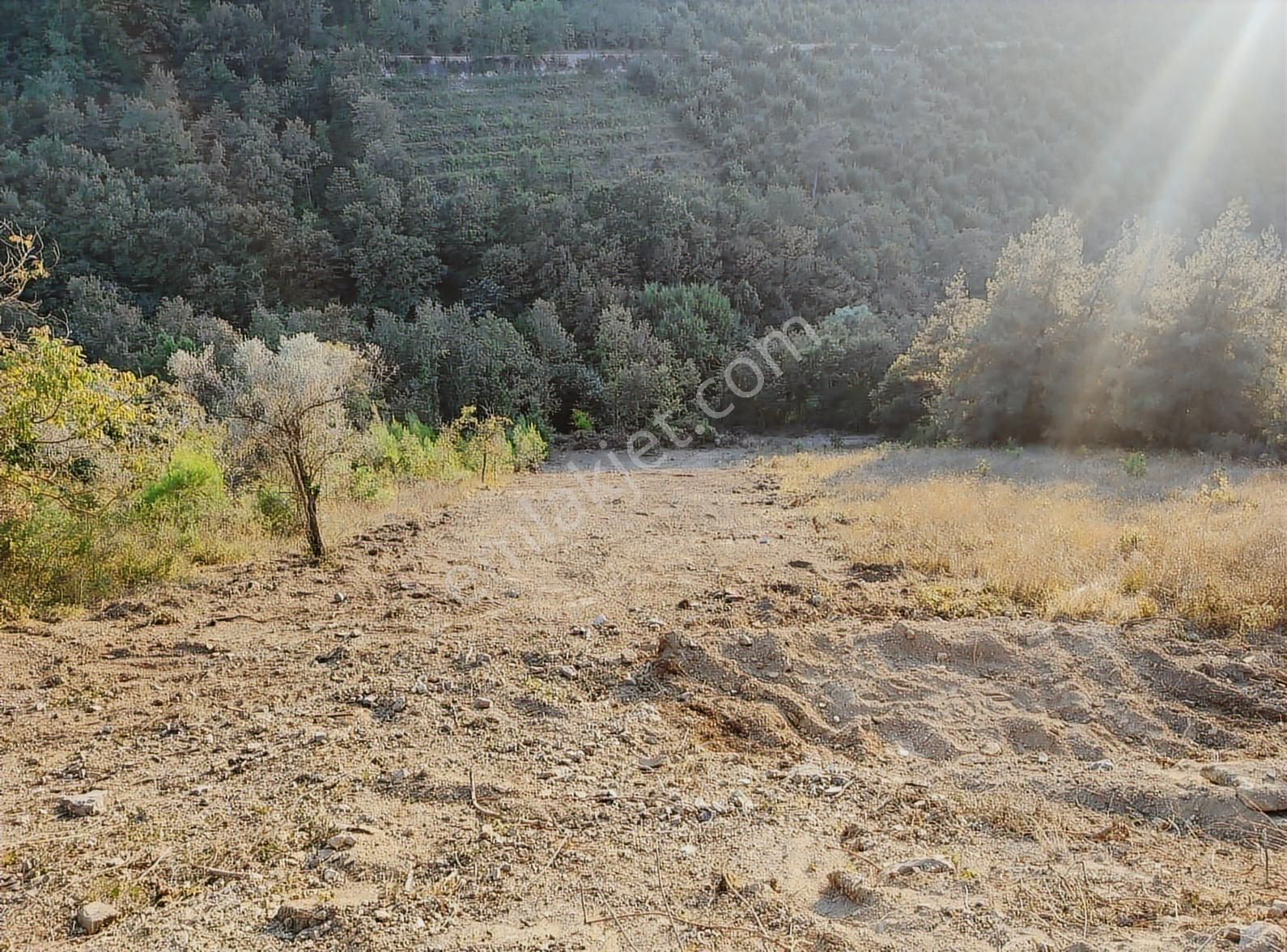 Karamürsel Çamdibi'nde Ev Yapımına Uygun Asfalta Sıfır Arazi - Görsel 2