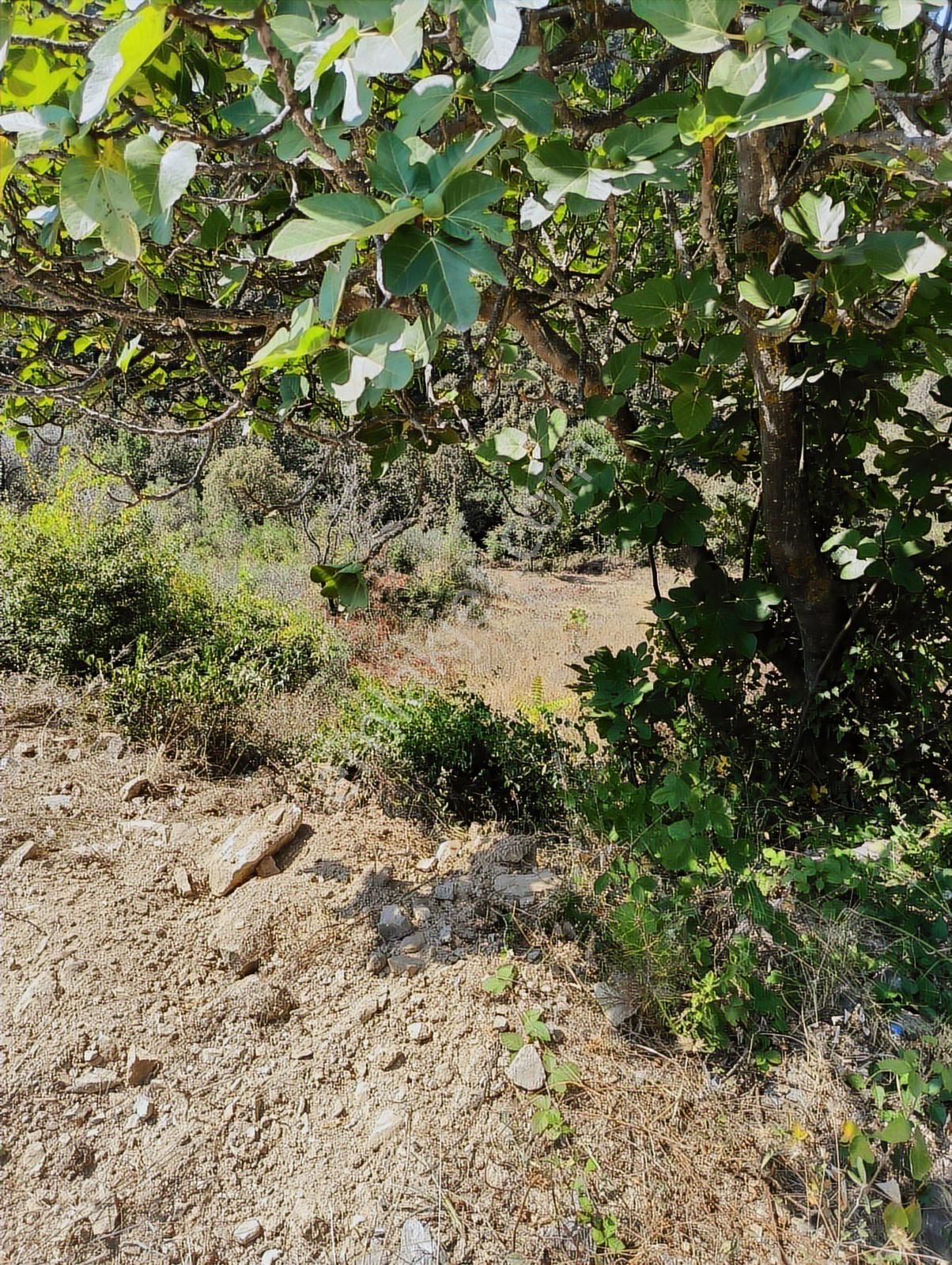 Karamürsel Çamdibi'nde Ev Yapımına Uygun Asfalta Sıfır Arazi - Görsel 3